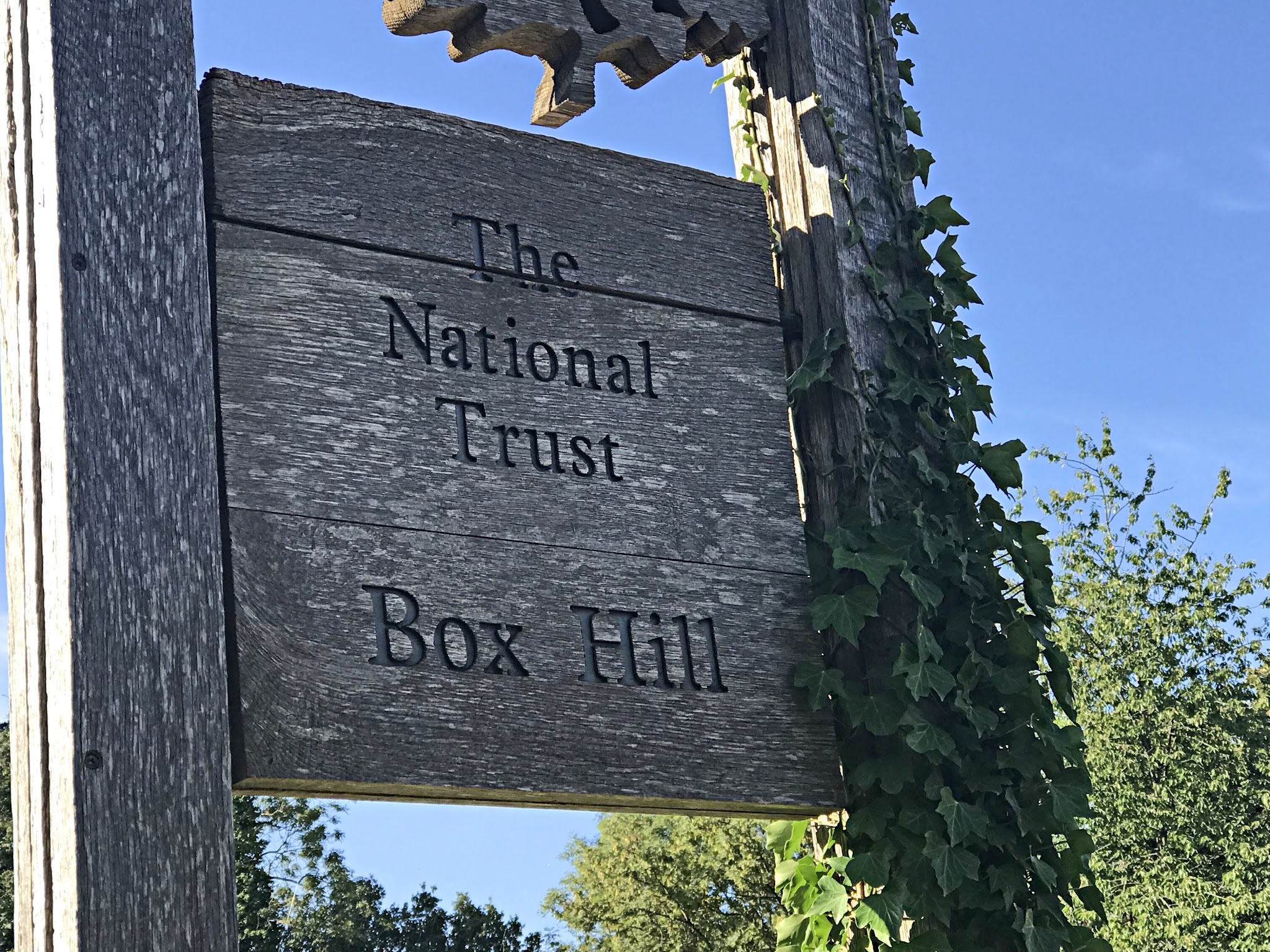 Cycling Box Hill - wooden sign for The National Trust Box Hill