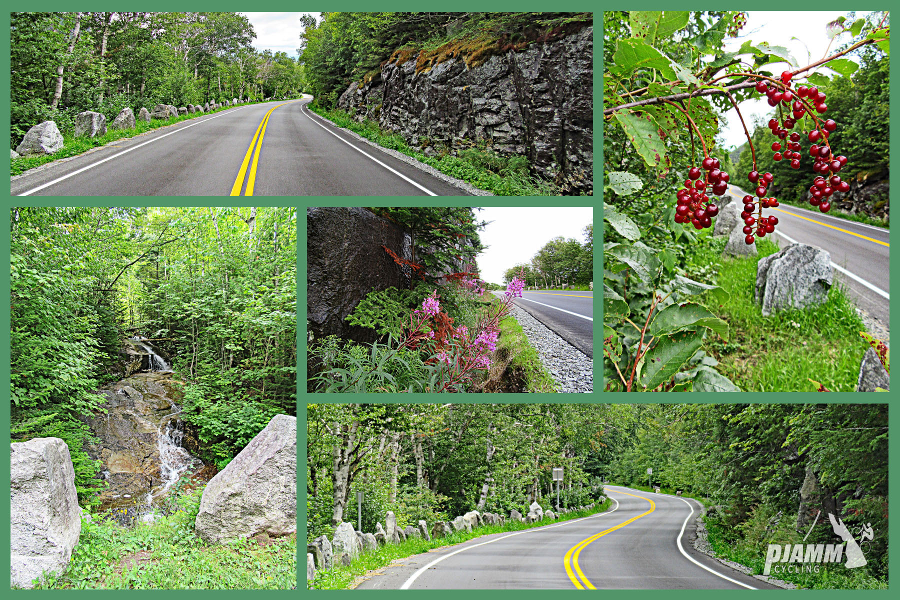 Cycling Whiteface Mountain - photo collage, long stretch of pristine roadway surrounded by forestation and rock wall, red berries hanging down on side of roadway, small waterfall and large grey rocks