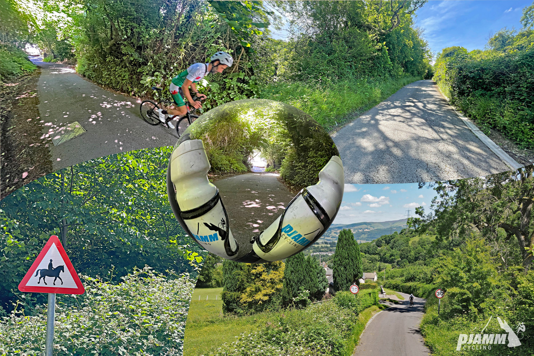 photo collage shows tree and foliage lined roadway, street sign for horse crossing