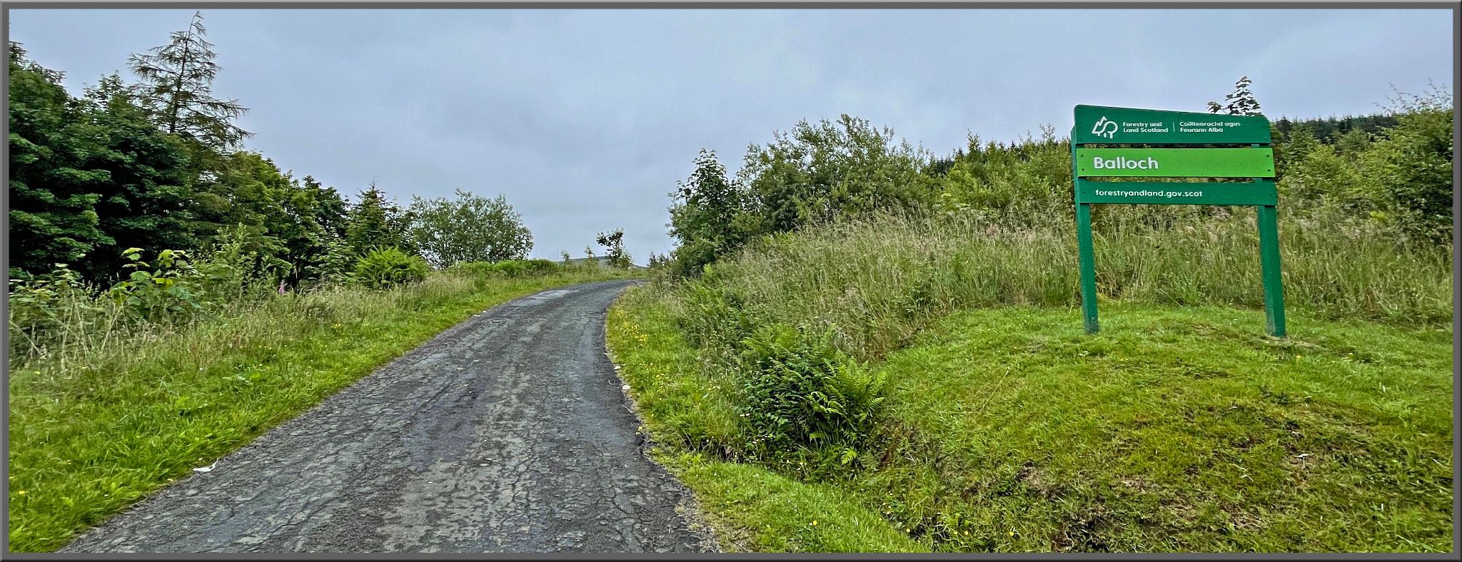 one-lane narrow roadway next to green road sign for Balloch