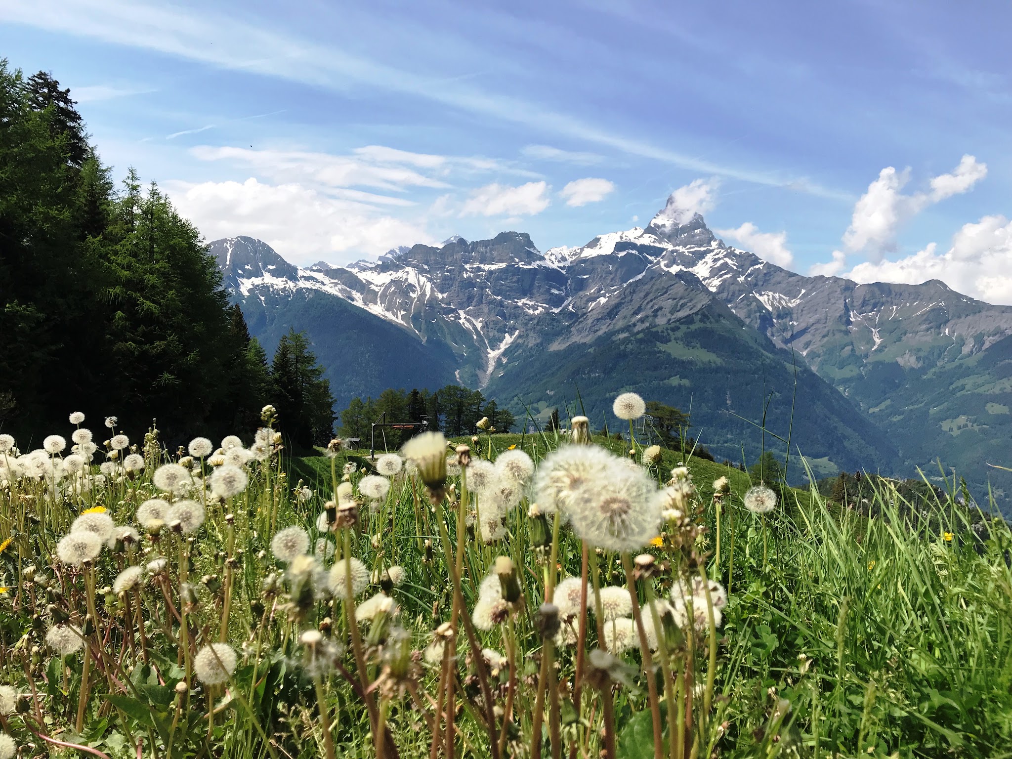 Climbing Rionda by bike -  -  La Cime de l'Est and flowers