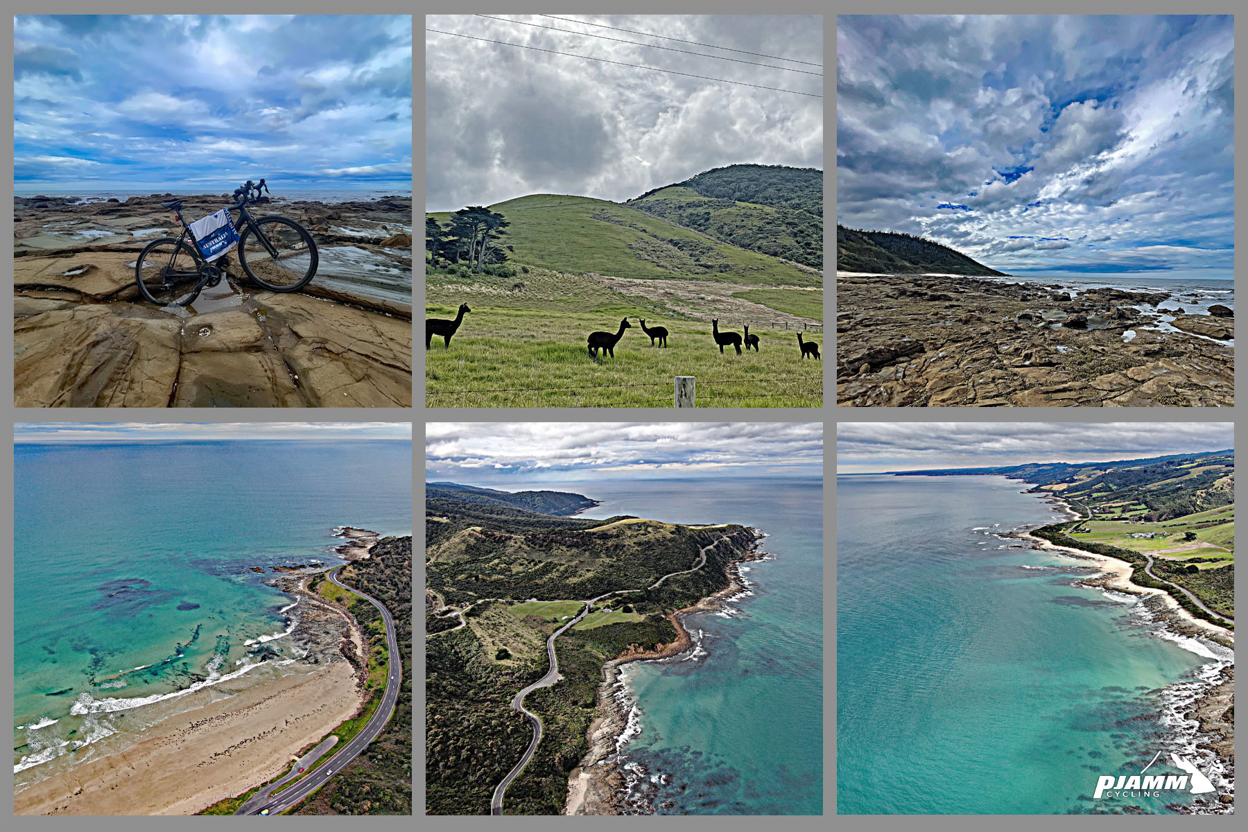 photo collage shows turquoise waters, alpacas grazing in coastal fields, Great Ocean Road snaking along coastline