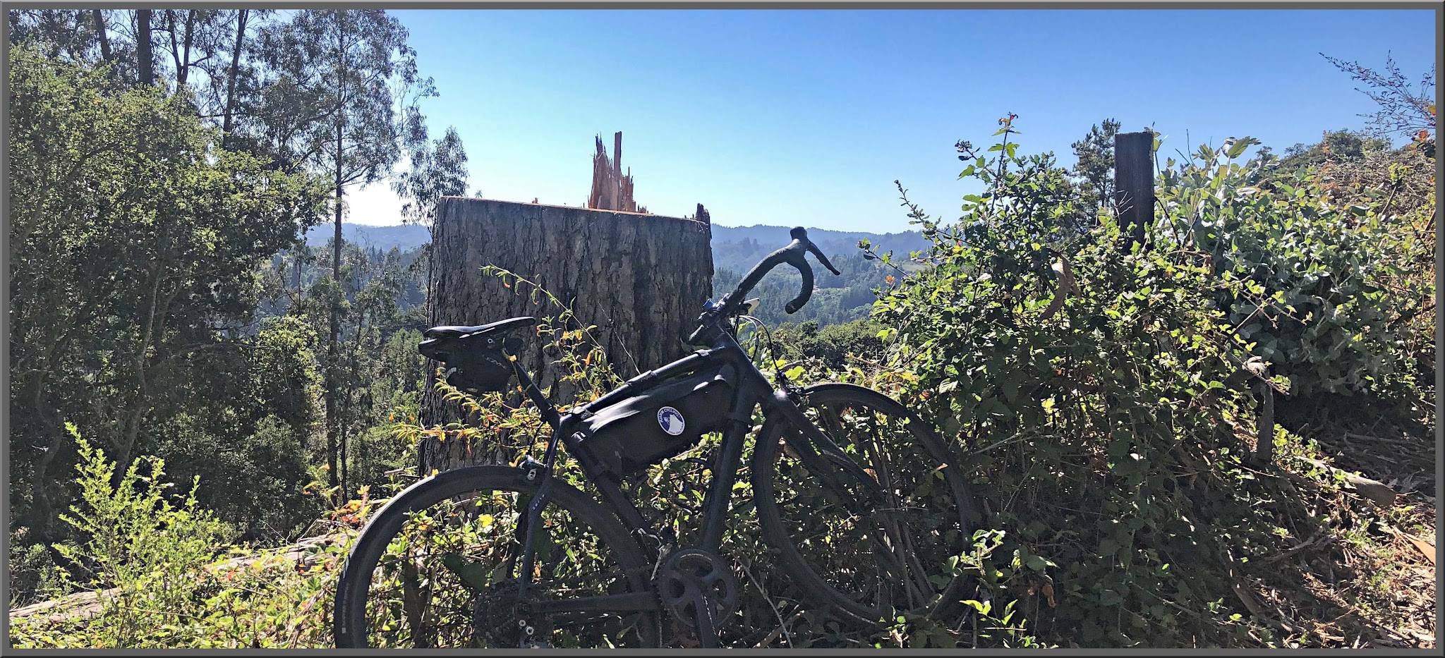 Cycling Mt. Madonna, Santa Cruz Mountains - bike parked in brush along hillside in front of large tree stump, Santa Cruz Mountains in the background, blue sky