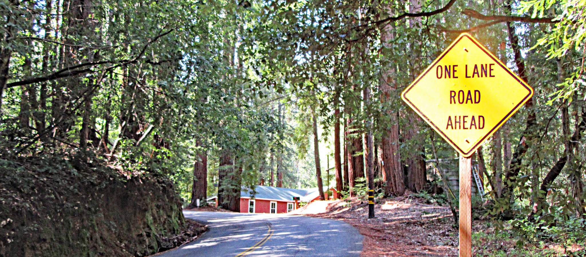 Bicycle climb of Alba Road in the  Santa Cruz Mountains, Pacific Coast Range.