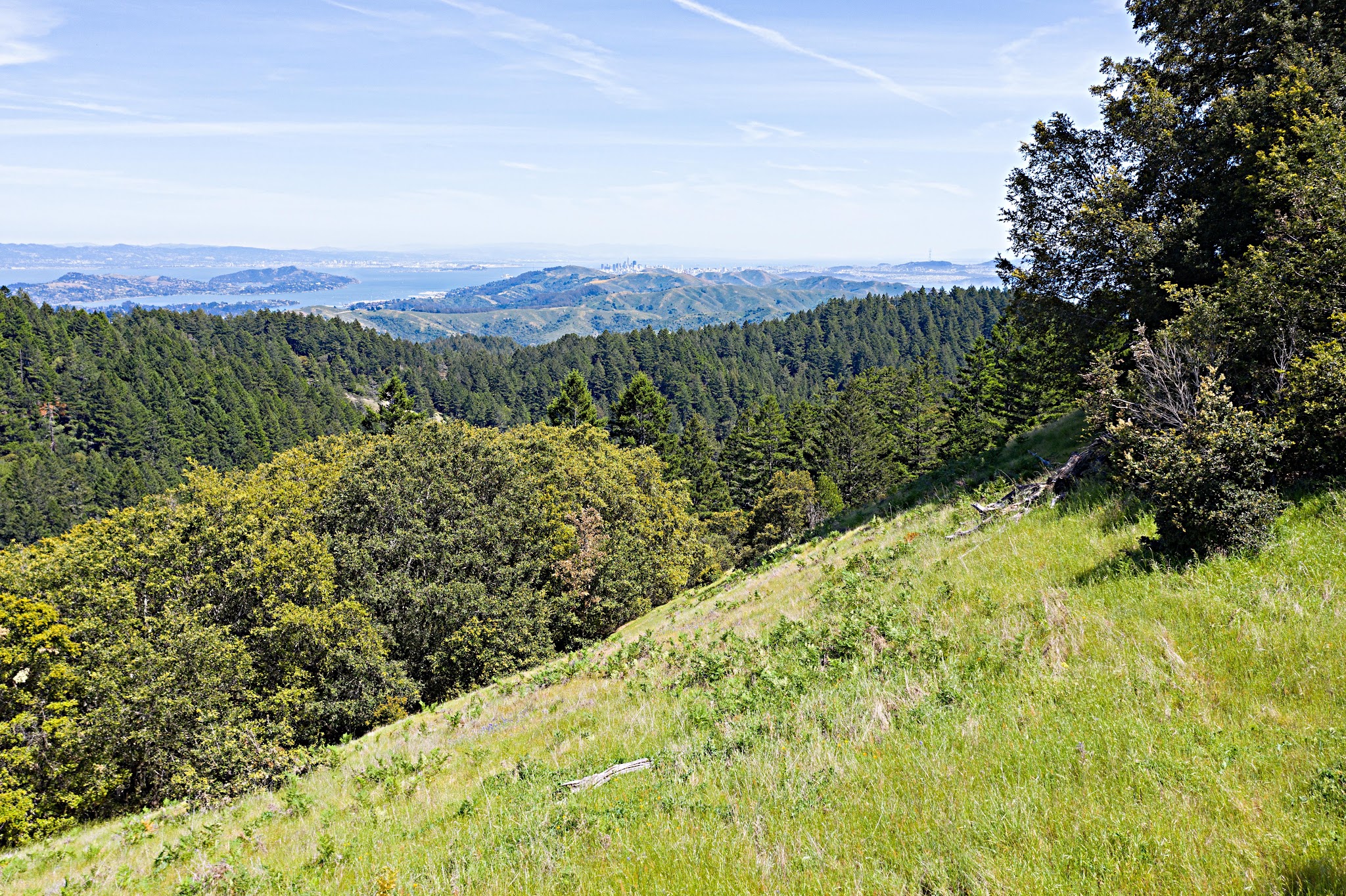 Cycling Mt. Tamalpais from Panoramic Highway South Cycling Mt. Tamalpais from Panoramic Highway South - view of sloping hillsides, overlooking forested areas with ocean beyond