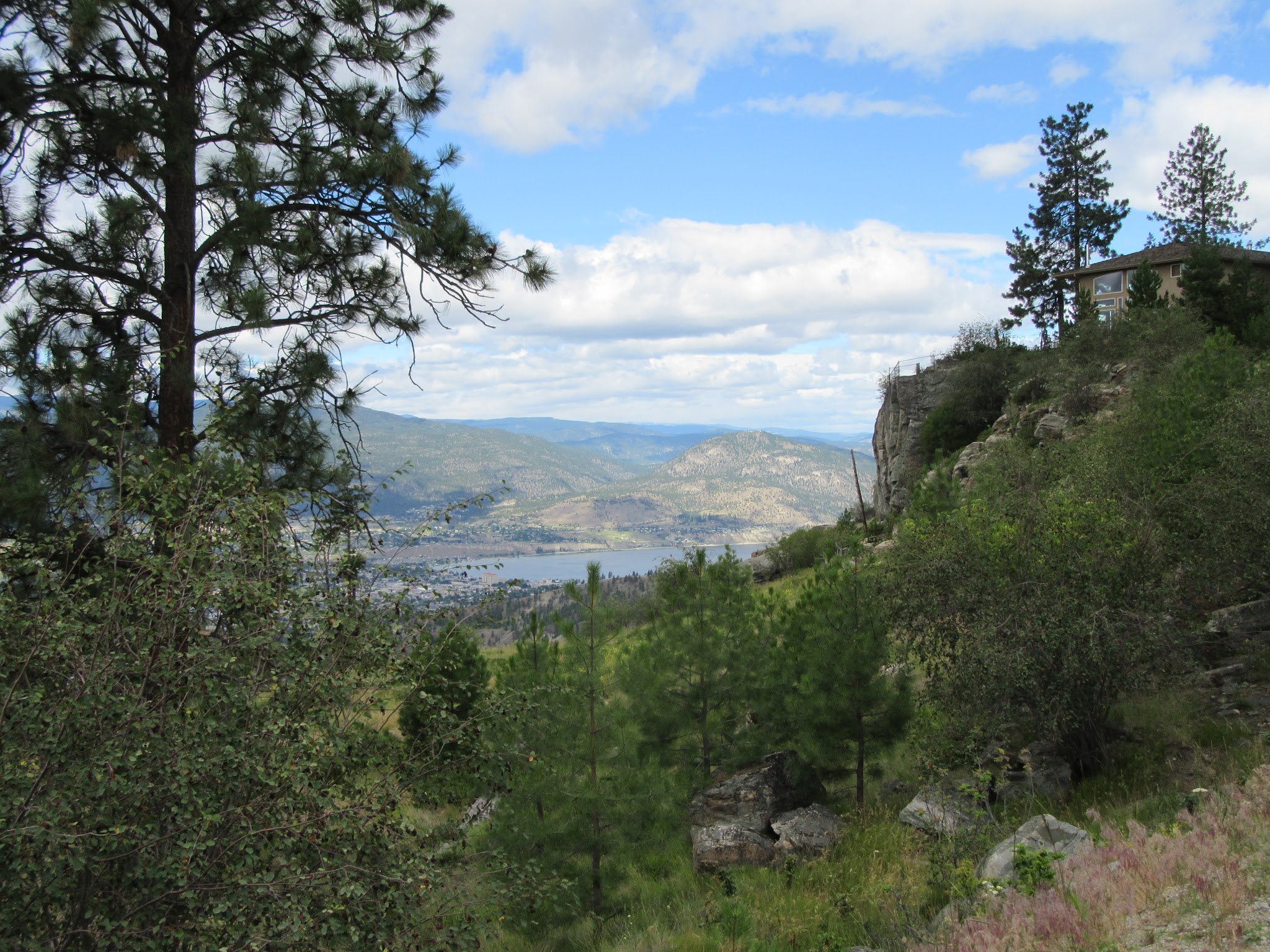 Carmi Avenue Bike climb Carmin Avenue - Okanagan Lake through the trees