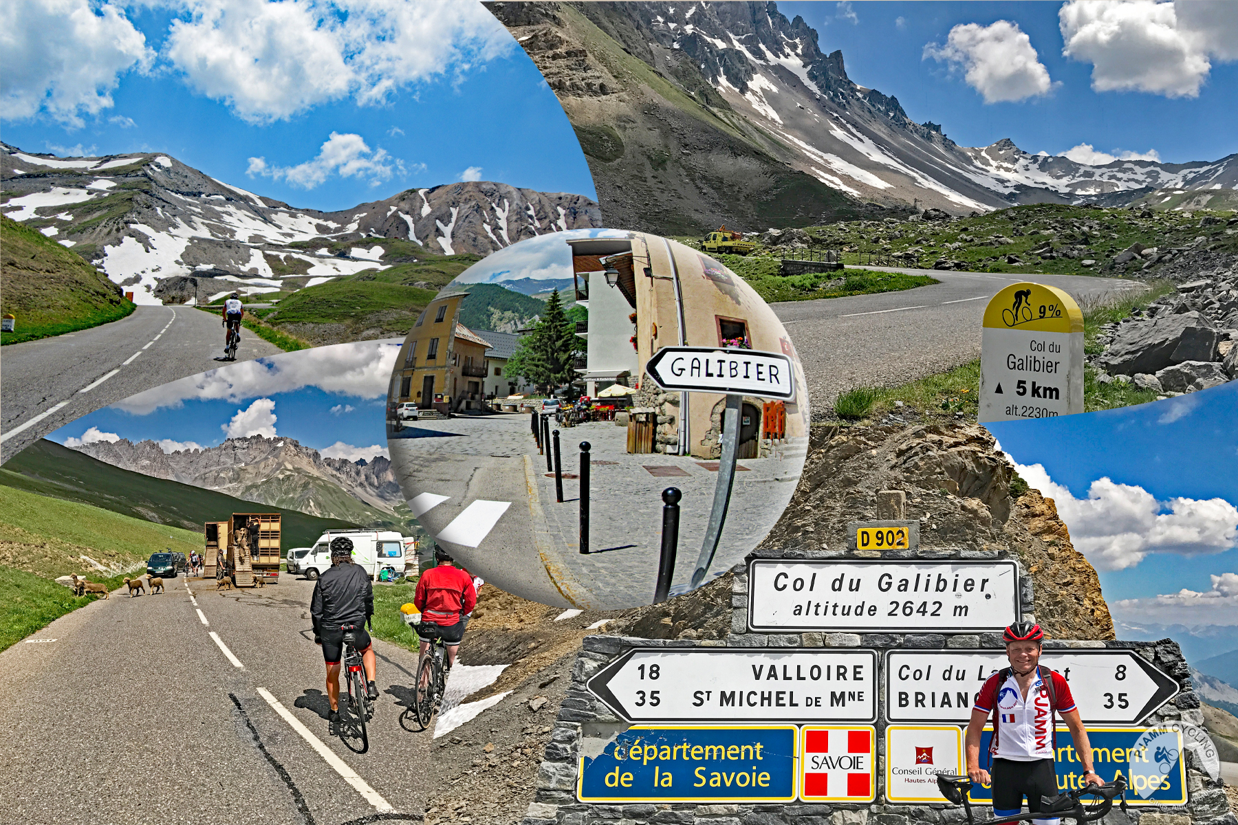 Cycling Galibier - road signs for Galibier, Col du Galibier, french alps, snow capped mountains, cyclists waiting for cattle crossing roadway