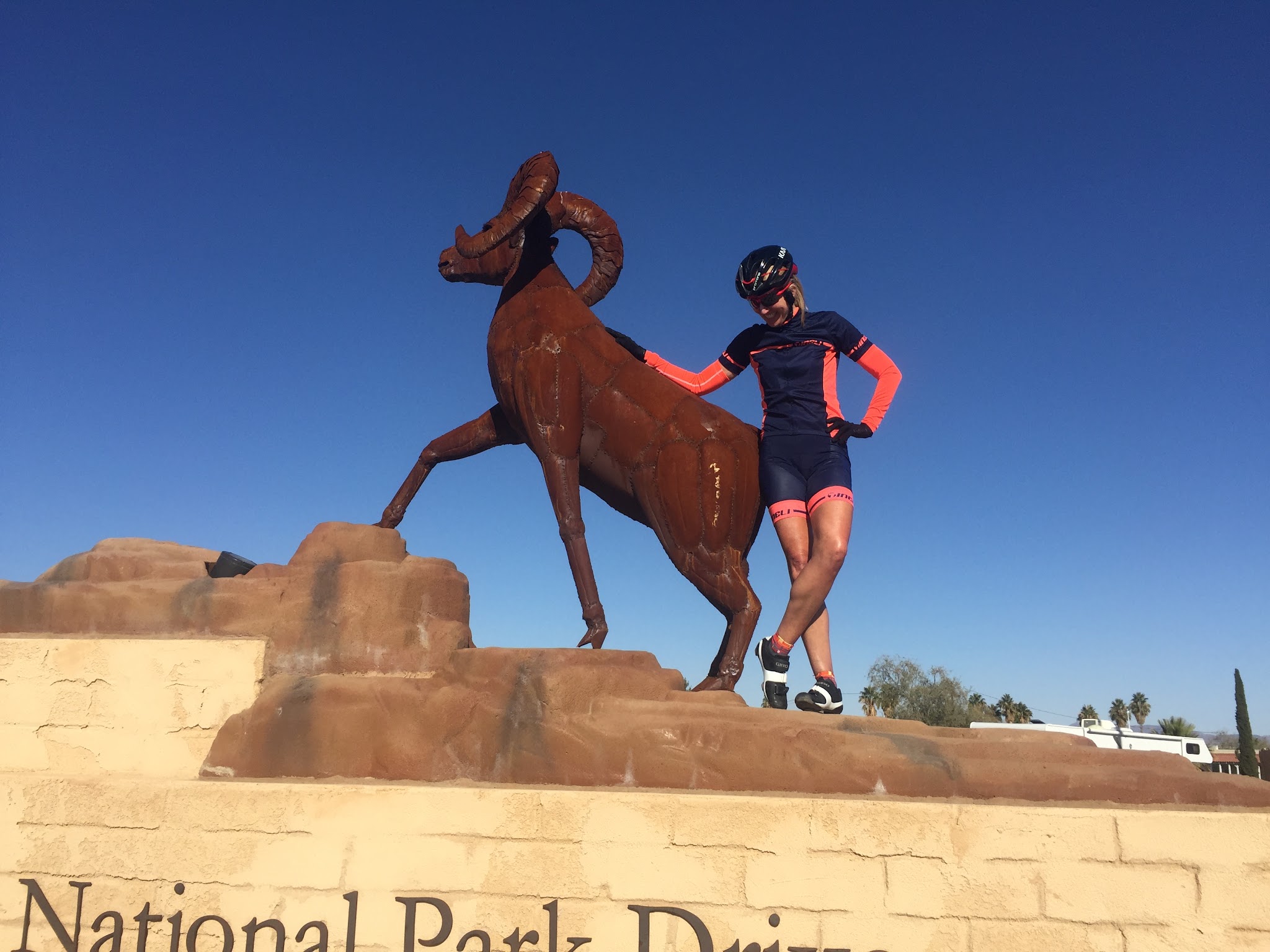 Cycling Joshua Tree National Park, California - cyclist standing next to bronze statute of a ram at Pinto Basin Road South climb