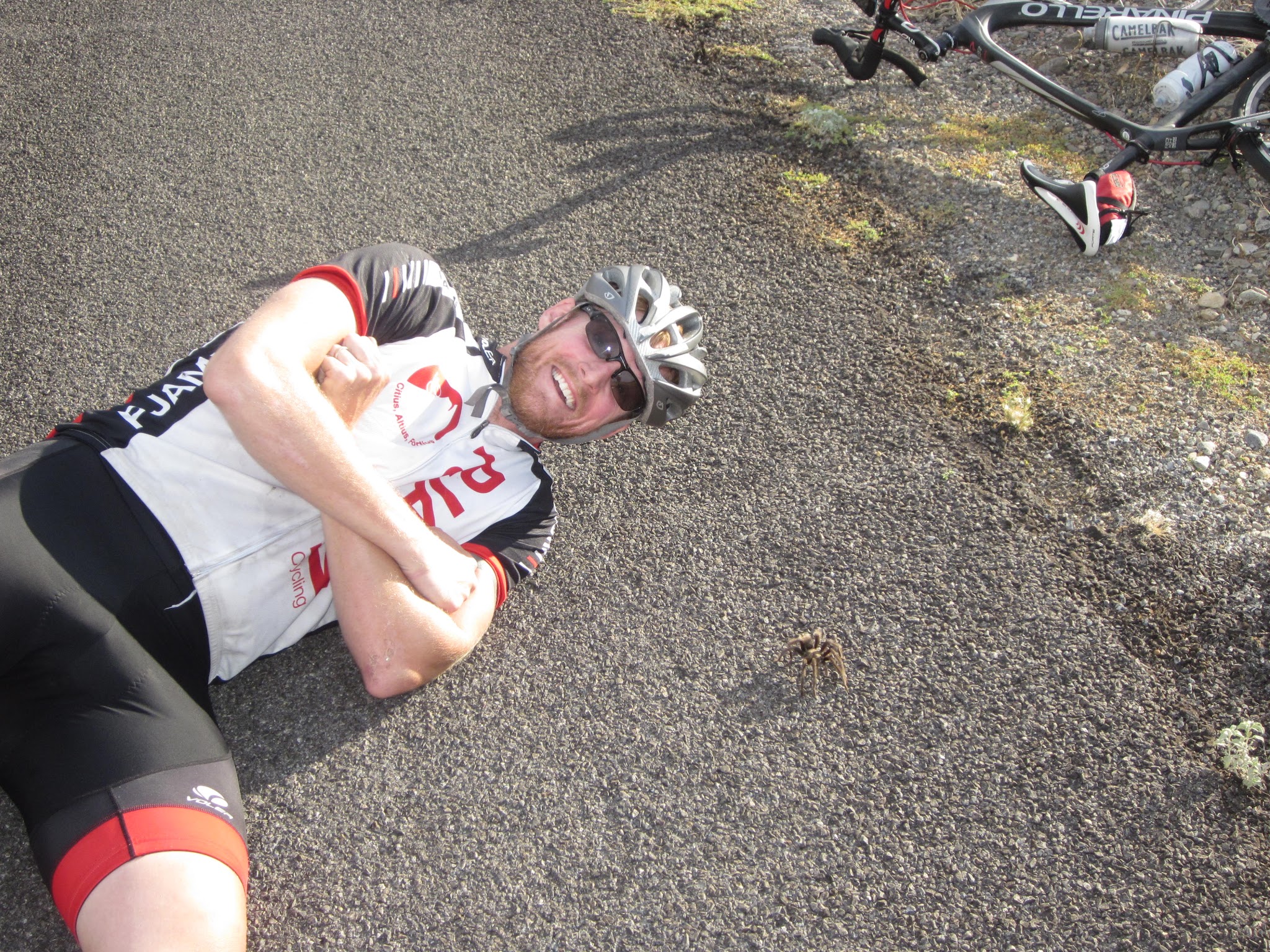 Cycling Death Valley National Park, California - PJAMM Cyclist lays on highway next to large tarantula