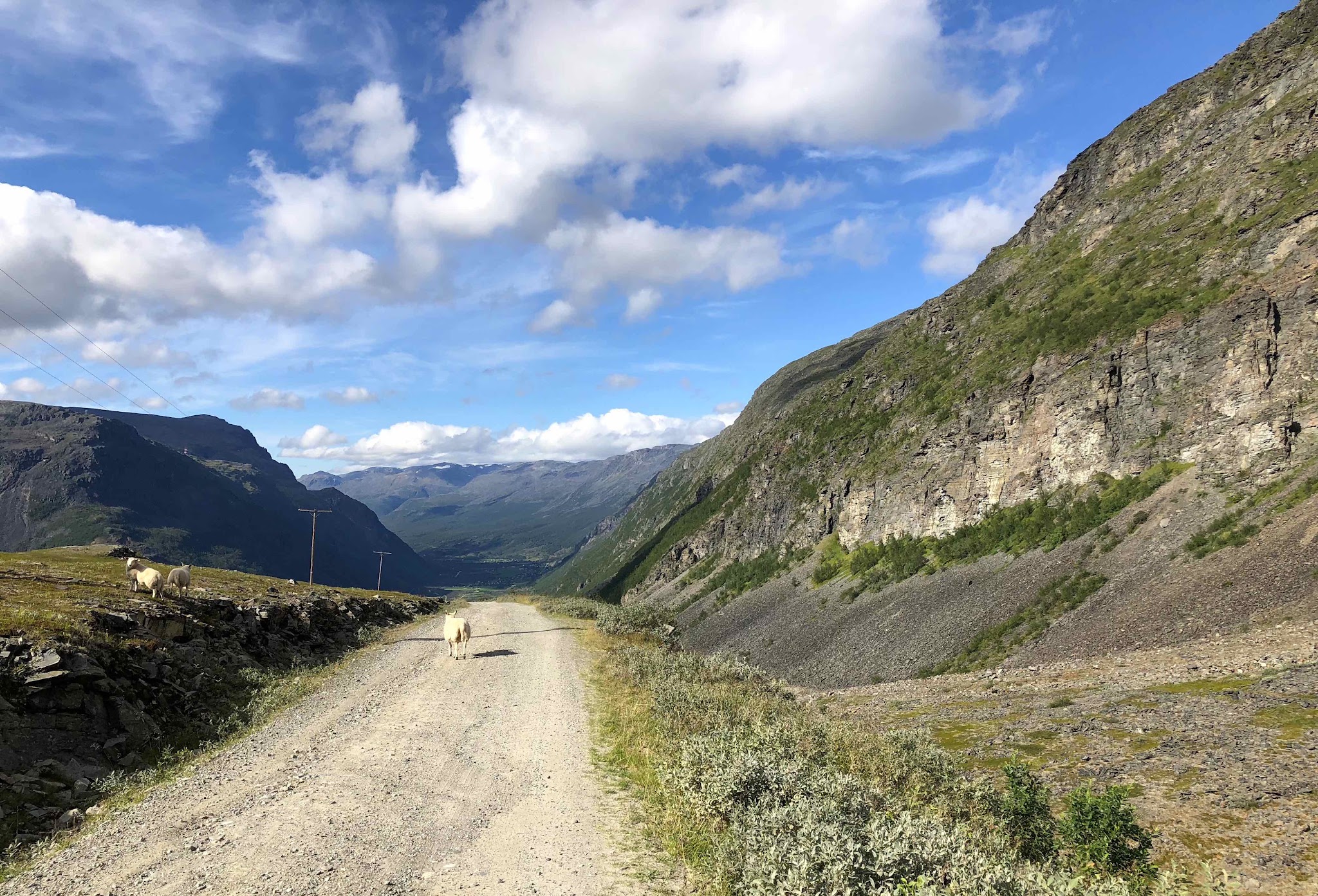 Guolasjavri Climbing Guolasjavri by bike - roadway canyon and valley beyond