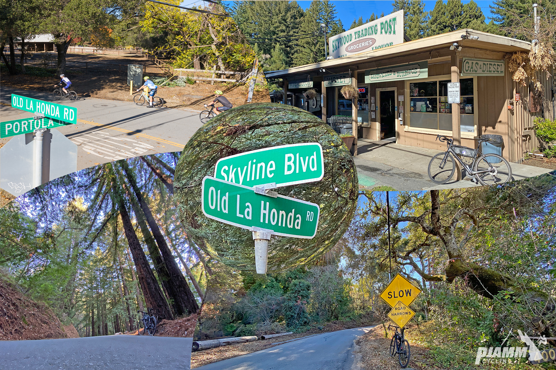 Cycling Old La Honda Road, California - photo collage, road signs for Skyline Boulevard and Old La Honda Road, and for Old La Honda Road and Portola Road, building with sign reading "Skywood Trading Post," PJAMM Cycling logo in corner
