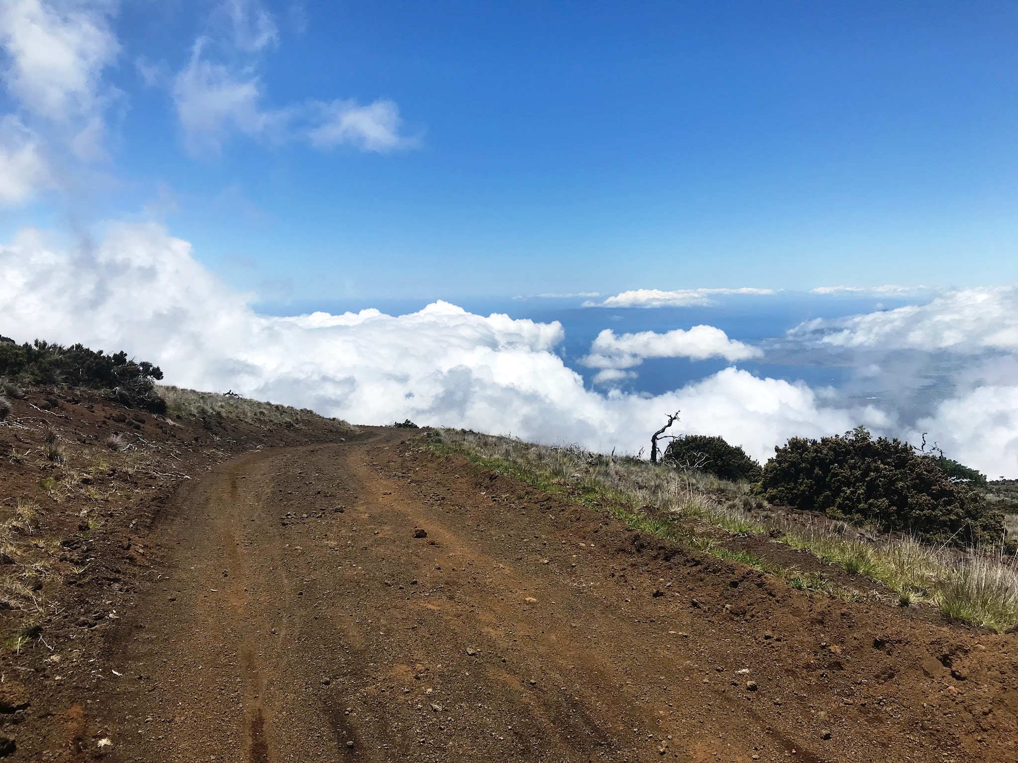 Cycling Skyline Trial to Haleakala