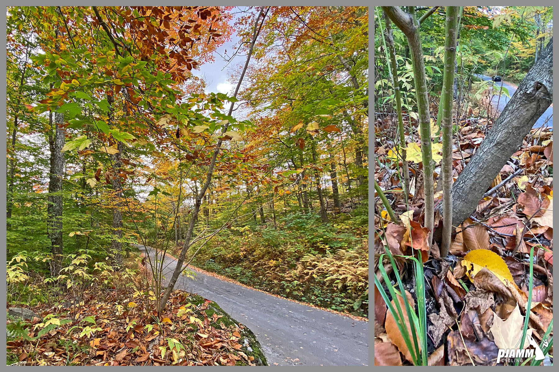 Cycling Mt. Mansfield, Vermont - photo collage, fall foliage, one-lane gravel road, PJAMM Cycling logo in corner