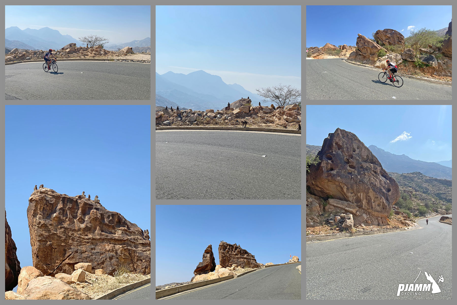 Cycling Parmah Pass, Saudi Arabia  - photo collages shows PJAMM Cyclists cycling past group of baboons, baboons sit high atop large rock on mountainside overlooking roadway