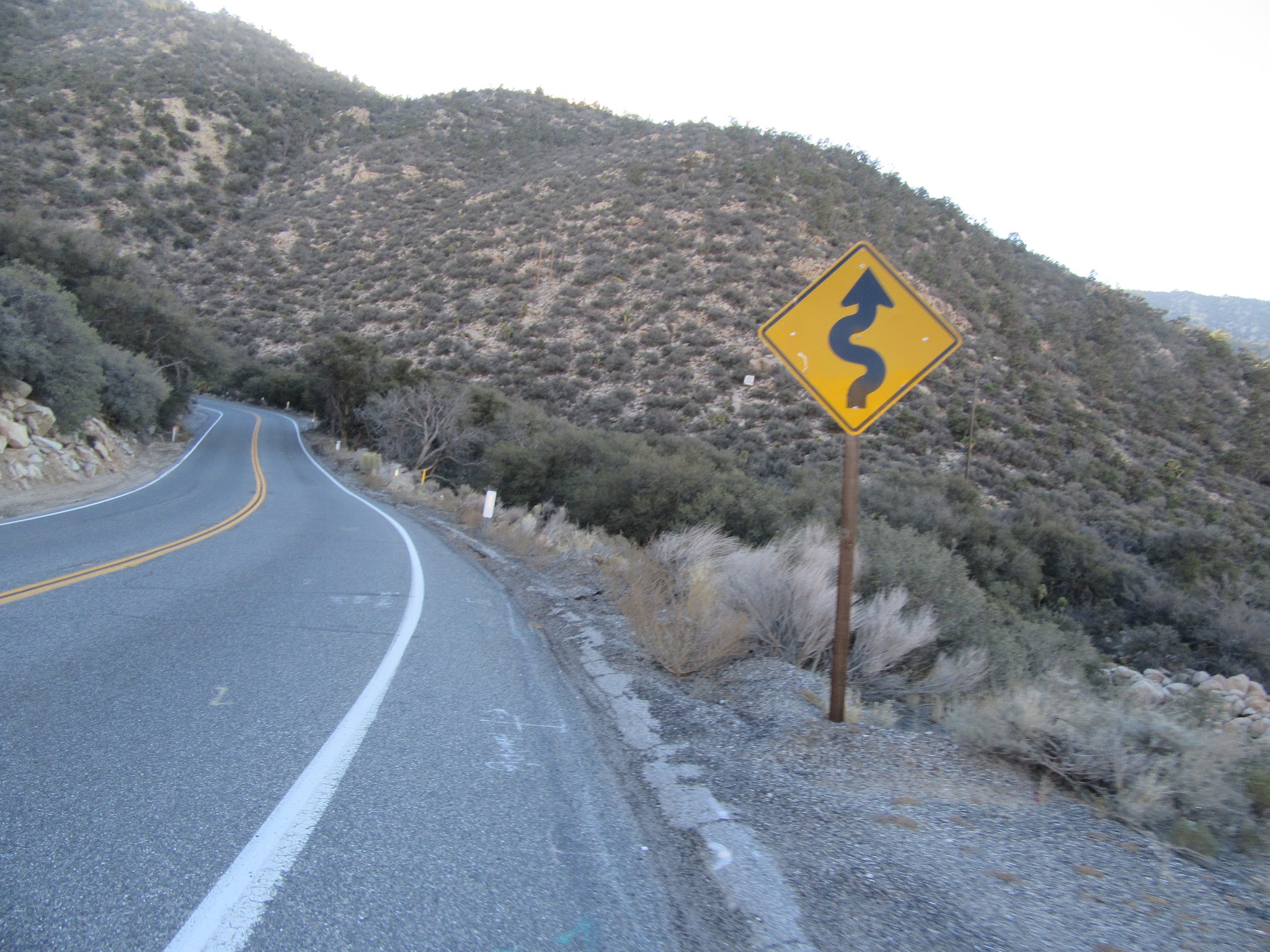 IMG_6994.JPG