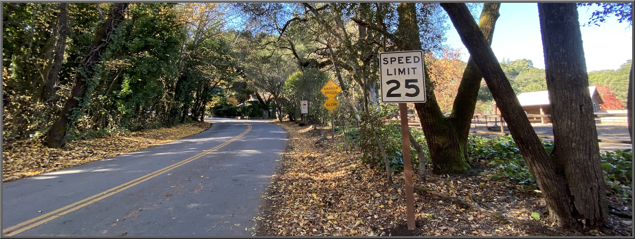 Cycling Old La Honda Road, California - tree-lined two-lane roadway with a 25 MPH Speed Limit sign