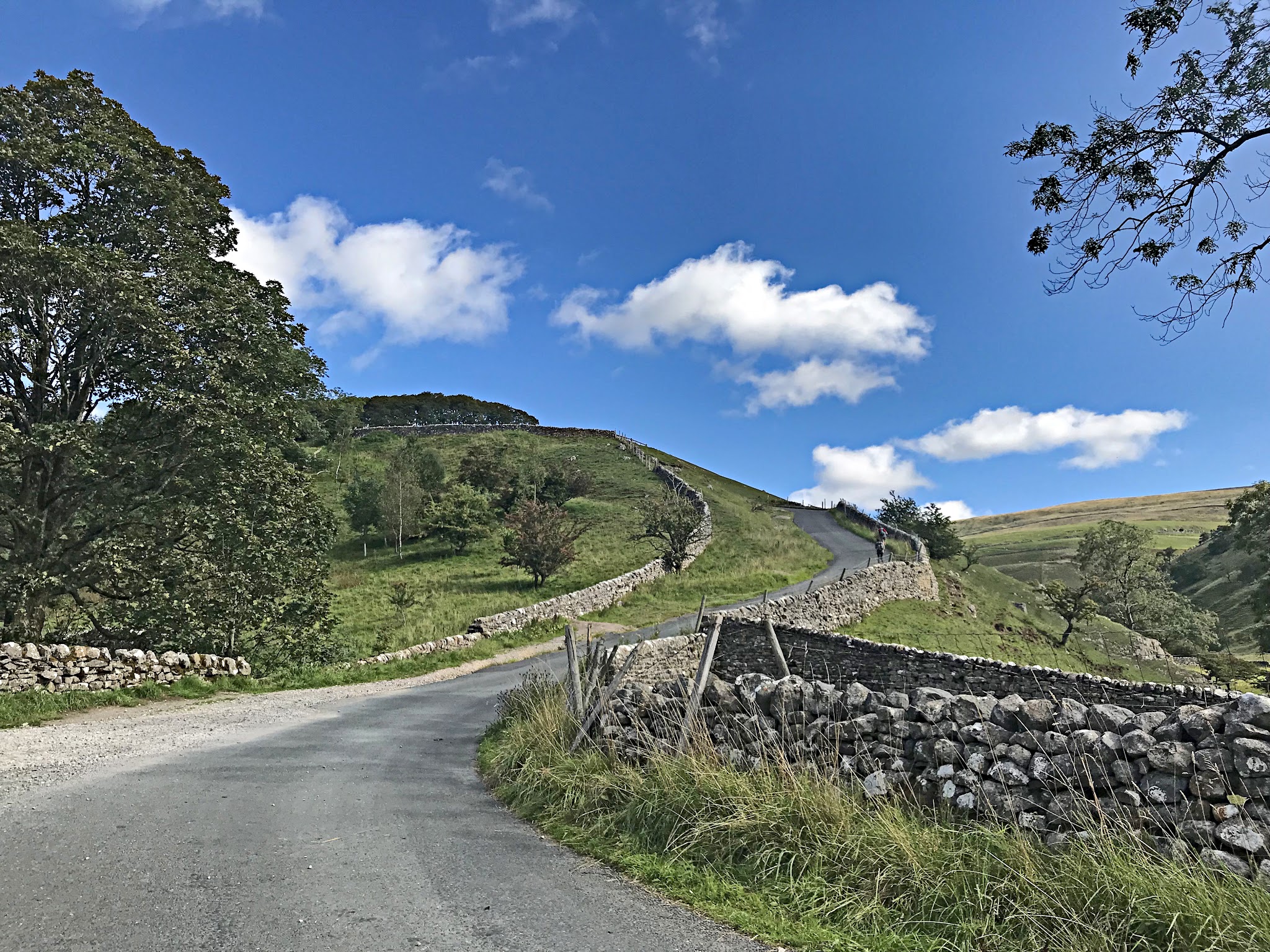 Cycling Park Rash - one lane road lined with low rock retaining wall, headed steeply uphill at an 18% grade, bright blue sky, large oak tree near roadside