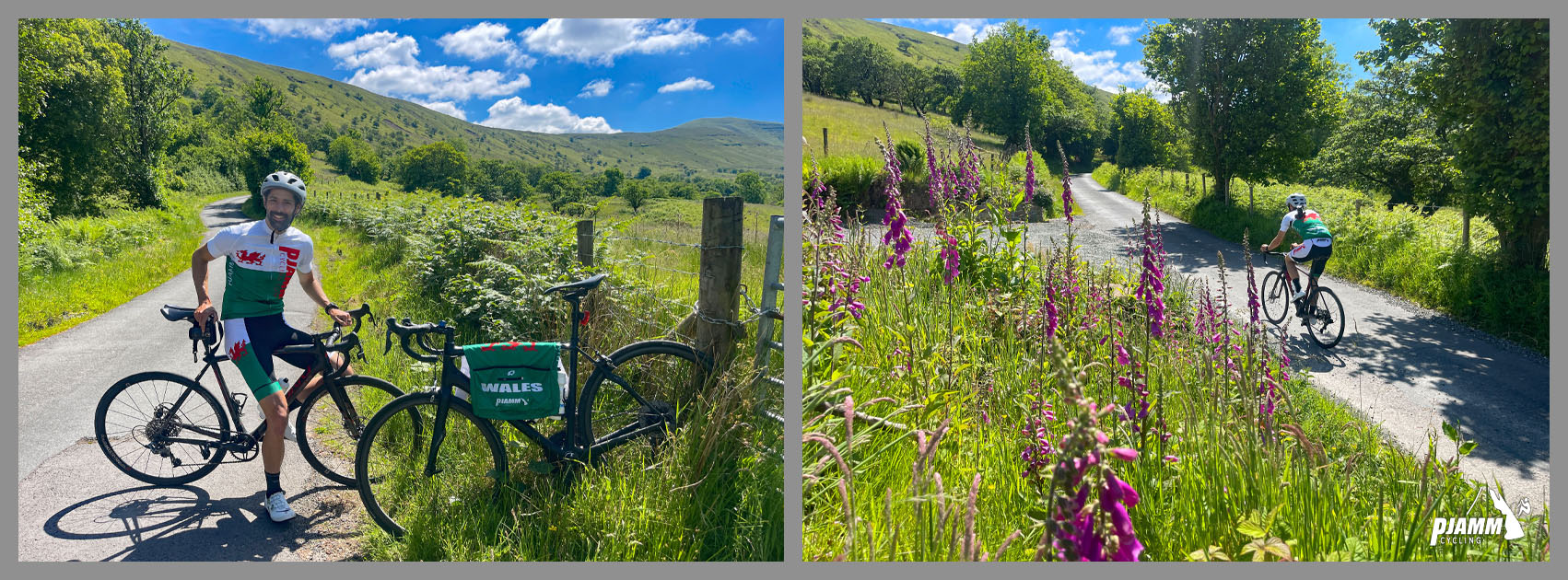 PJAMM Cyclist sits on bike in one-lane roadway; pink foxgloves in pastureland along road side