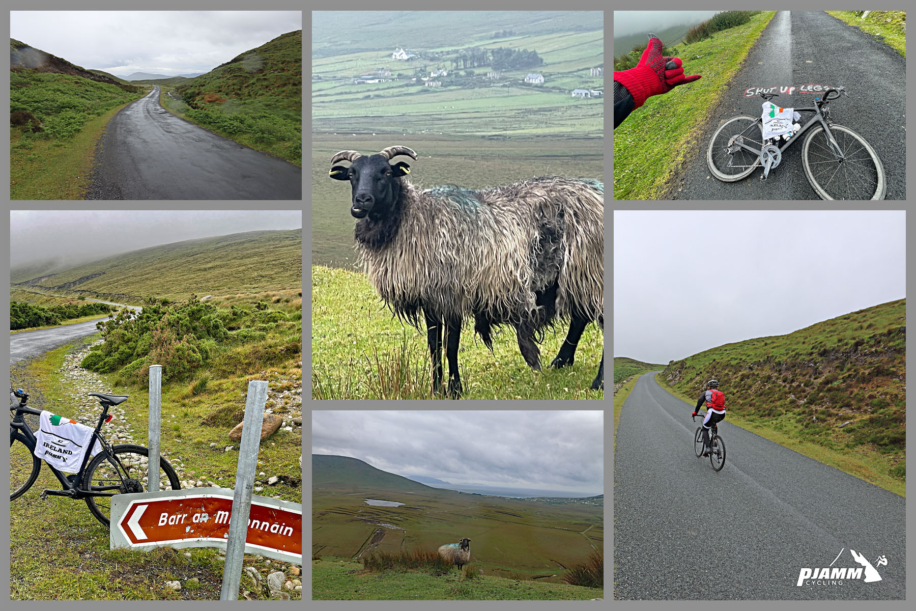photo collage shows foggy, overcast views; black and white long hair sheep