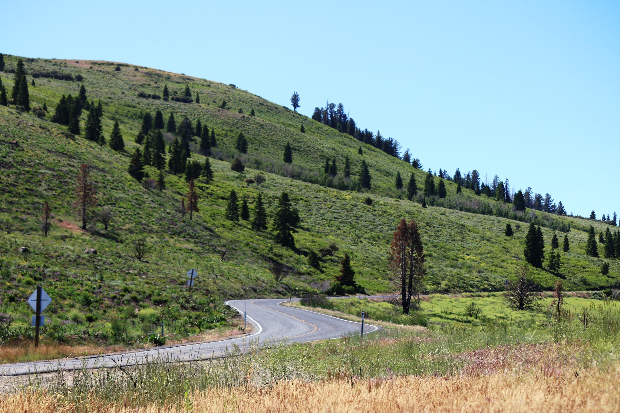 Bike ride up Monitor Pass East  - view of road and hillside