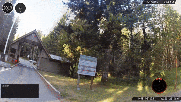 Deer at Hurricane Ridge Visitor Center