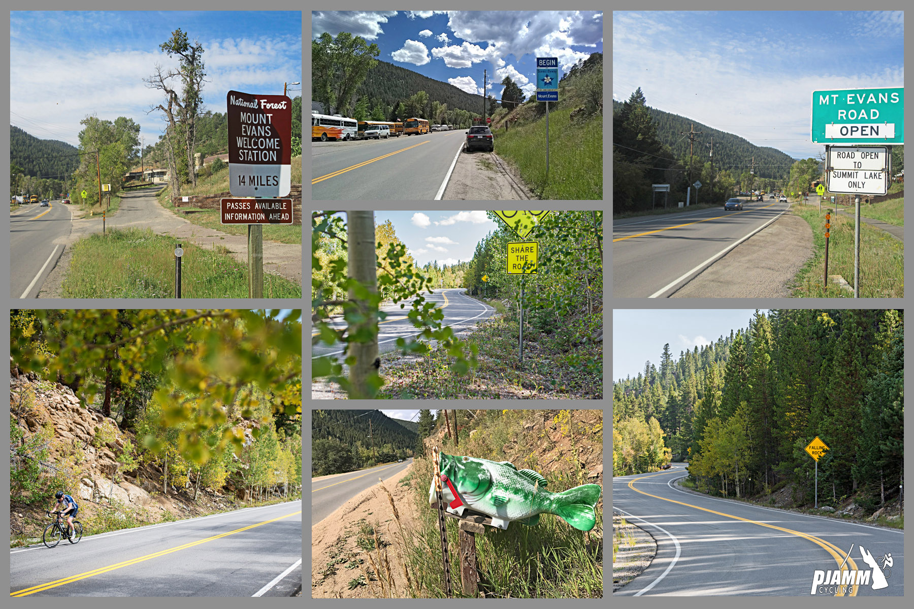 Cycling Juniper Pass West - photo collage, PJAMM Cycling logo in corner, sign for National Forest Mount Evans Welcome Station