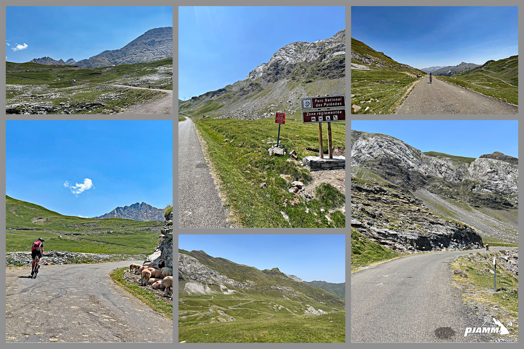 views along the climb include mountain views and pastureland, grazing sheep