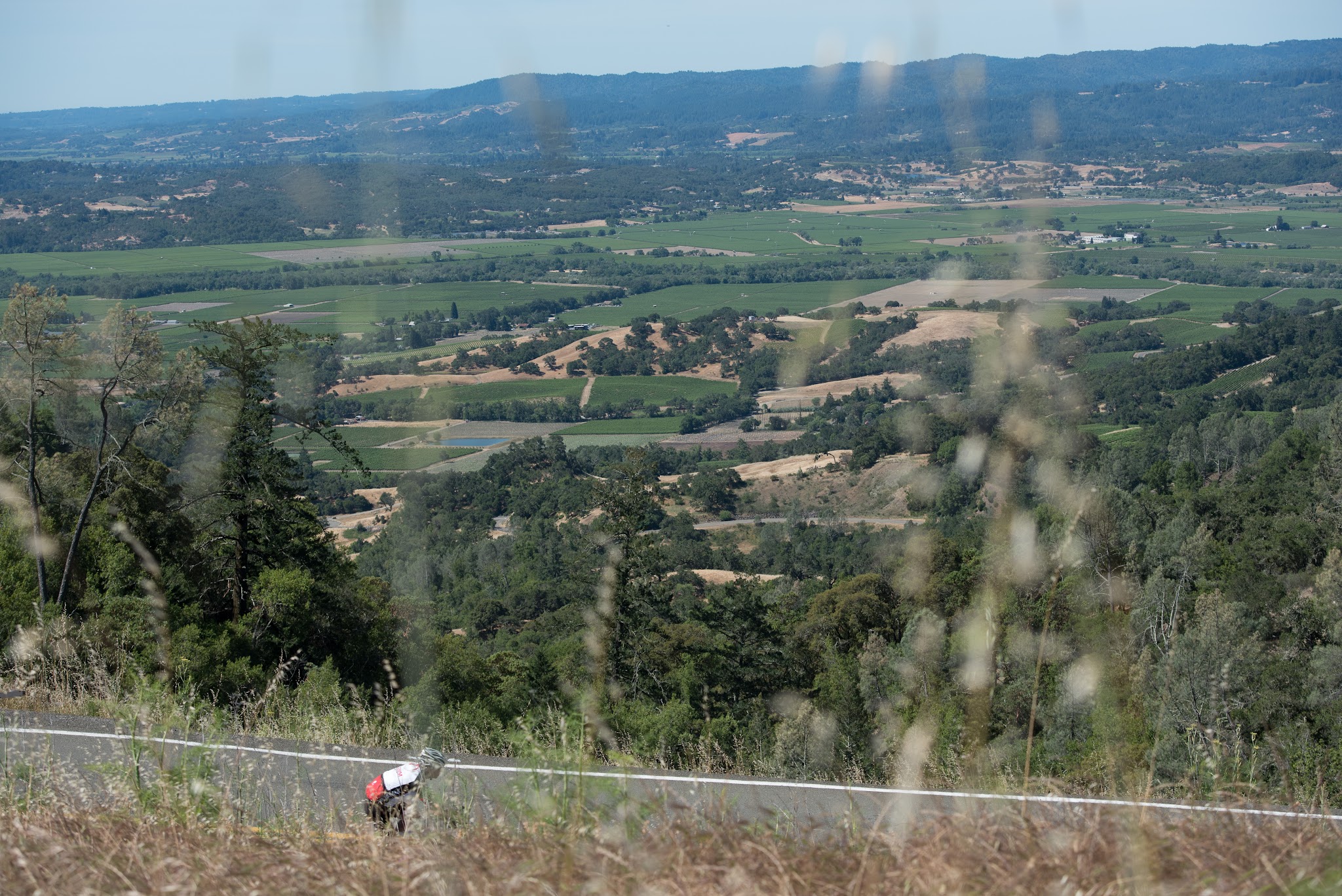 California's most scenic bike climbs California's most scenic bike climbs - Geysers Road - cyclist on road seen through dry grass with vineyards in background