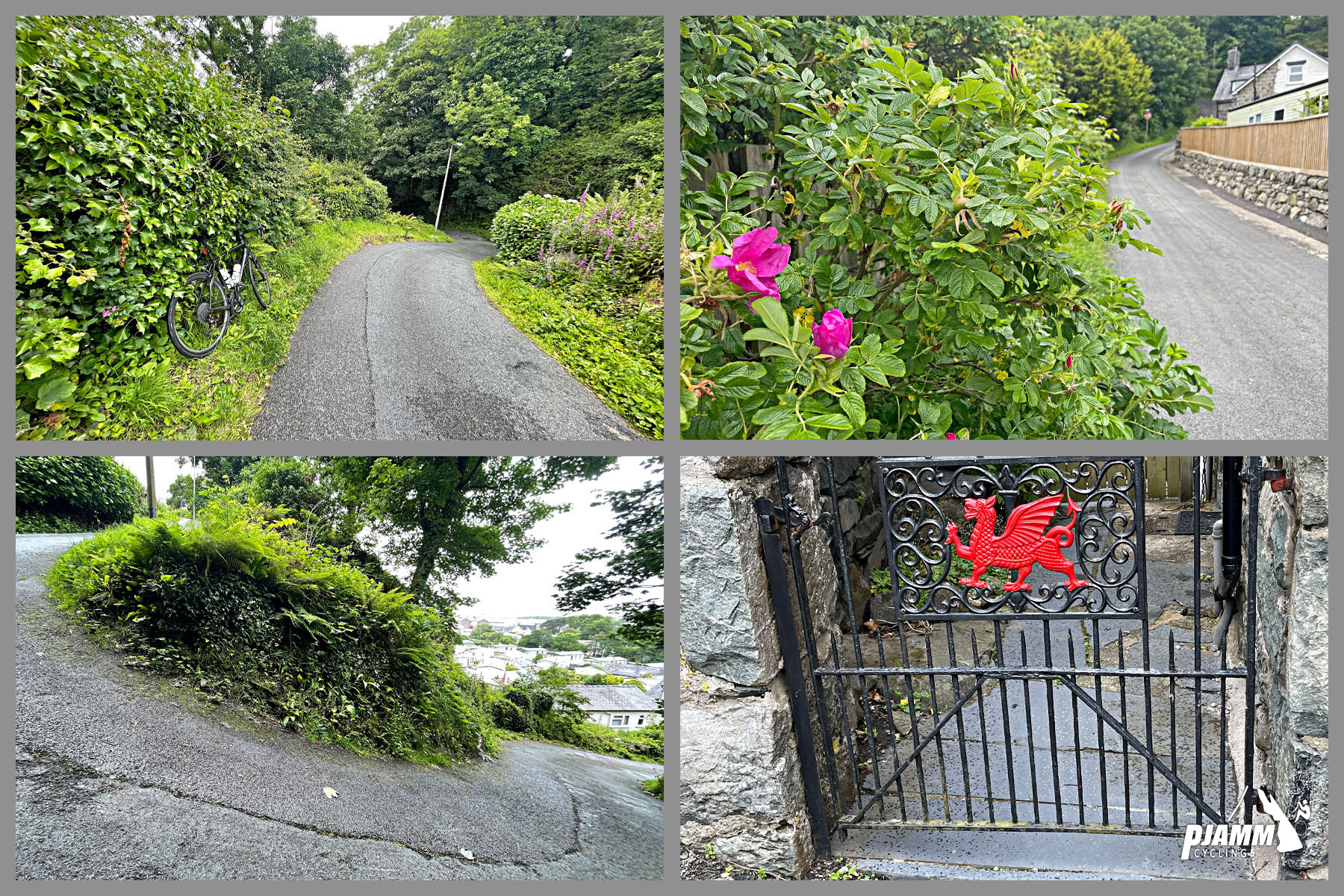 photo collage shows incredibly steep roadway surrounded by green bushes and ivy