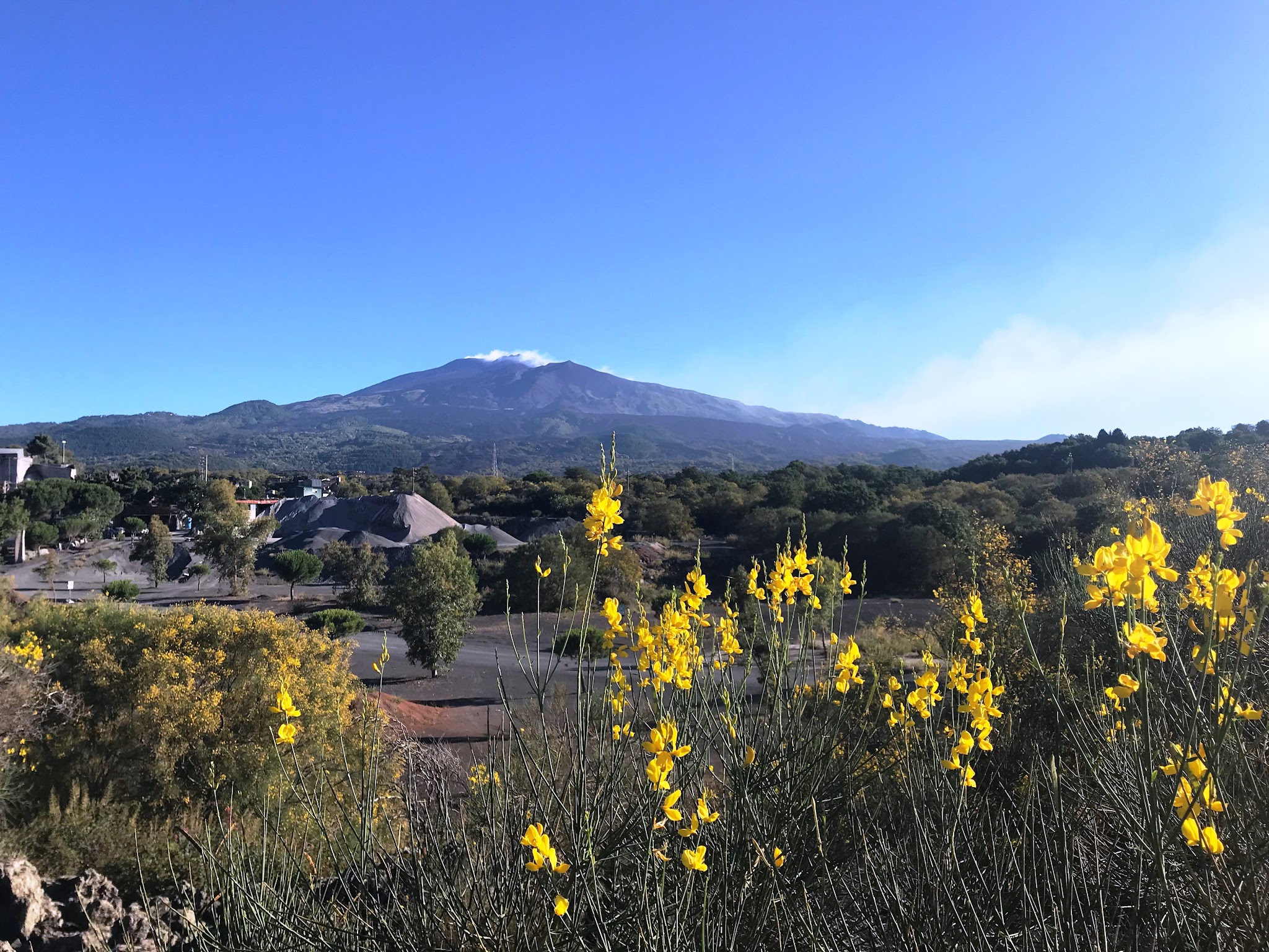 Cycling Top World Bike Climbs  - Mt Etna, flowers and the volcano