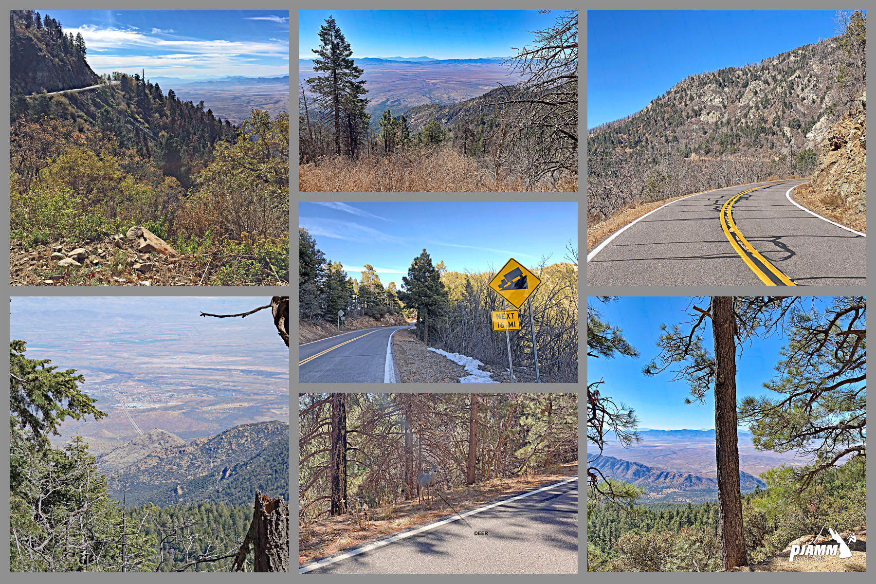 Cycling Mt. Graham, Arizona - upper section of climb, forestation, steep grade road sign, PJAMM Cycling logo in corner