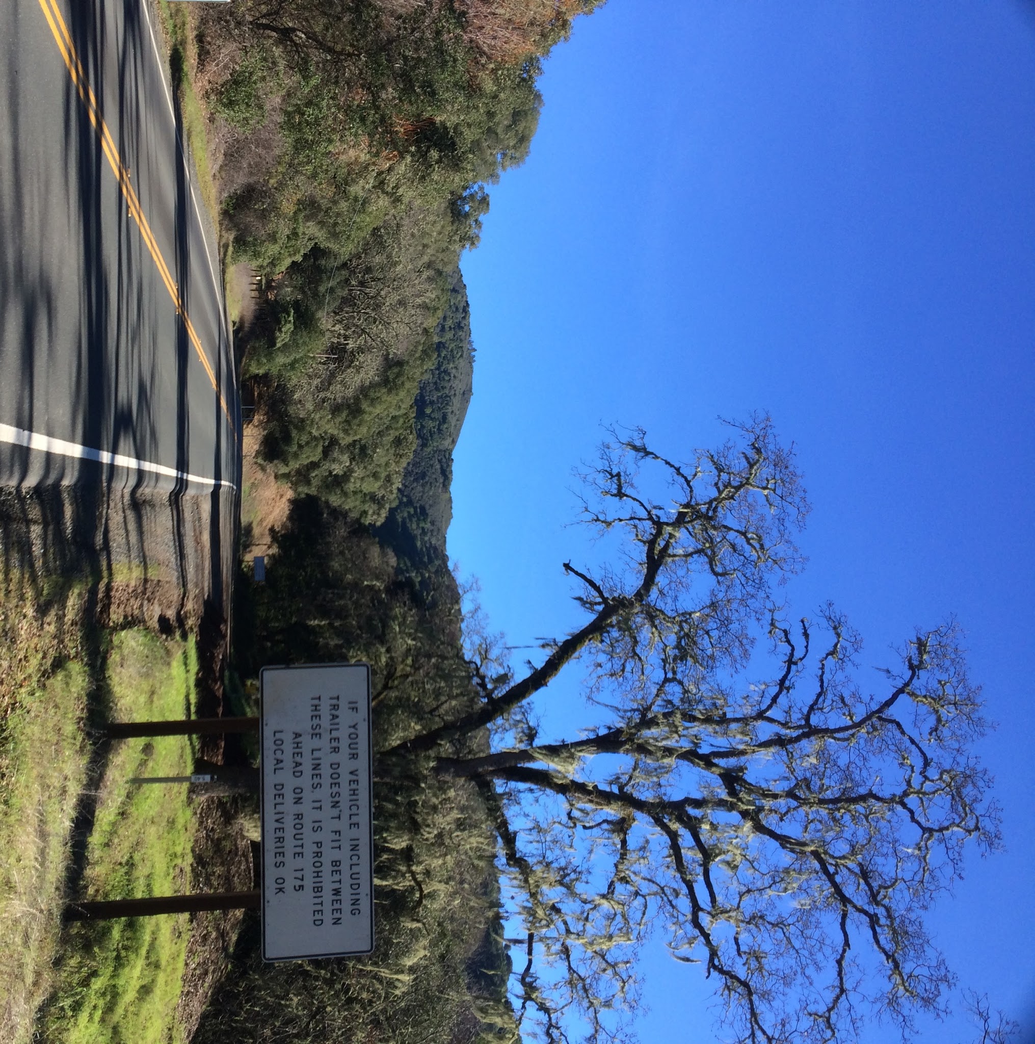 Cycling the Hopland Grade - oak tree and sign