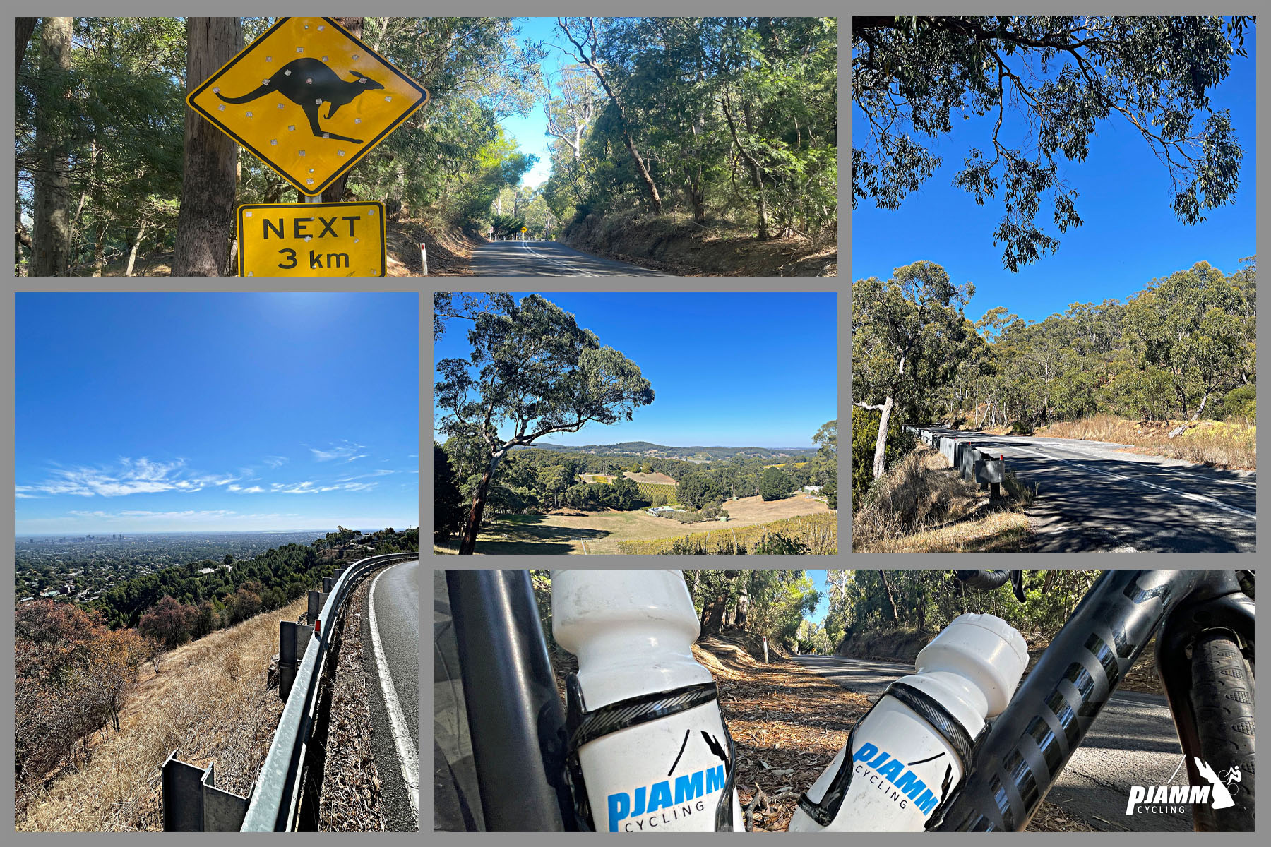 views along the climb, including a sign for kangaroo crossing and tree-lined roadways