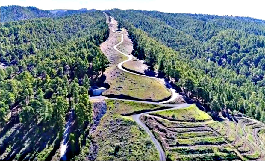 aerial photo shows switchbacks snaking up roadway surrounded by tall trees