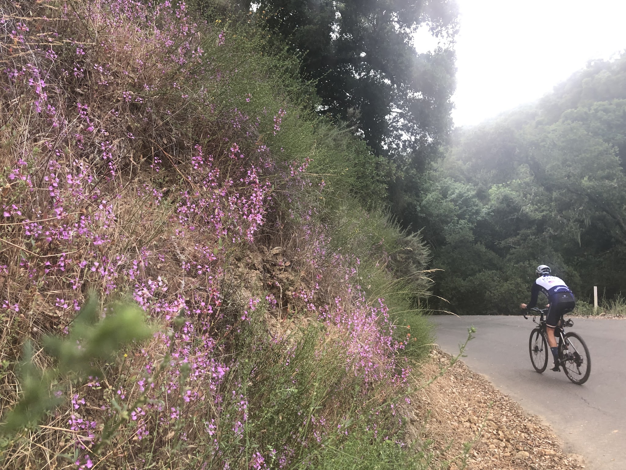 Climbing Welch Creek Road by bike - start of climb