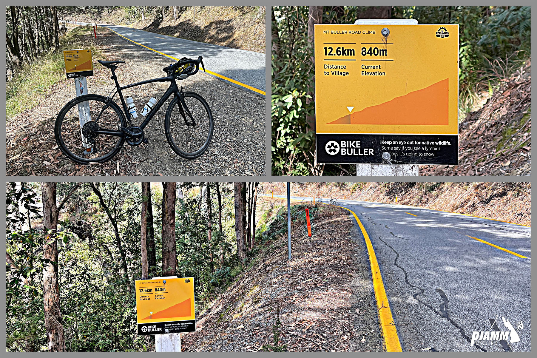 various yellow "Bike Buller" signs along the climb