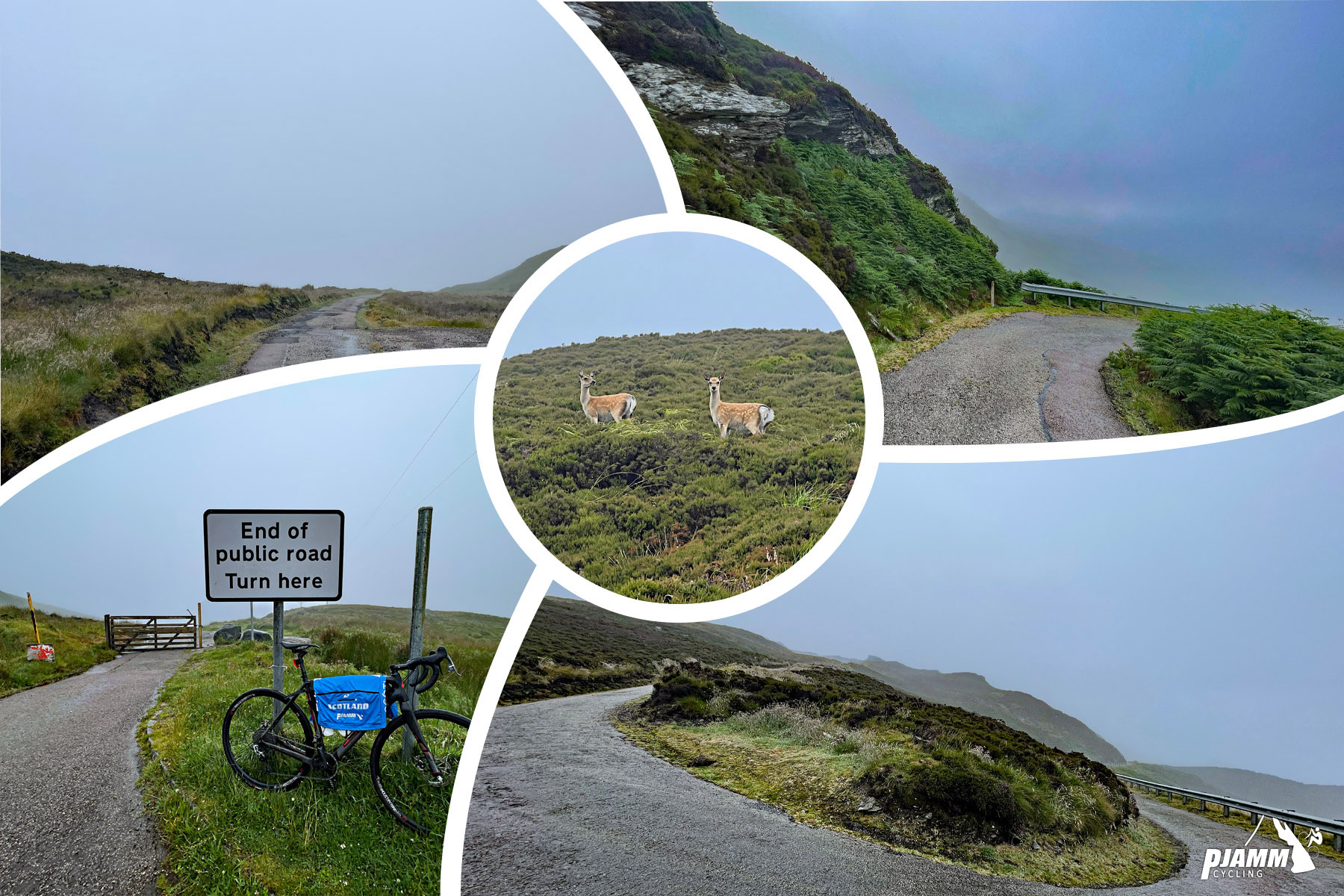 photo collage shows bike parked next to sign reading "end of public road turn here," coastal deer in greenery on hillside; steep hairpin turn