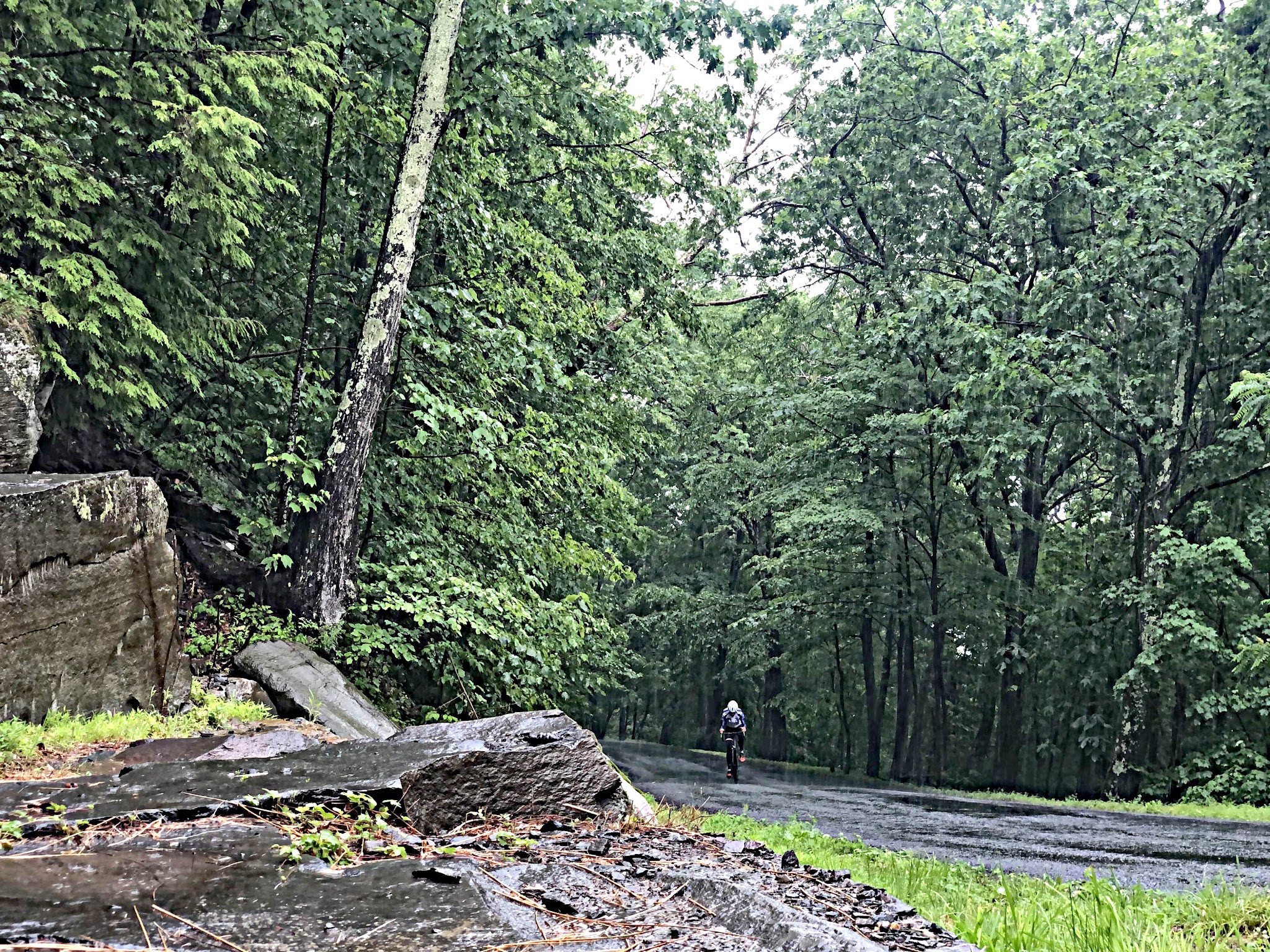 Cycling Devil's Kitchen, Platte Clove Road, New York - cyclist riding on wet, one-lane roadway surrounded by tall green trees