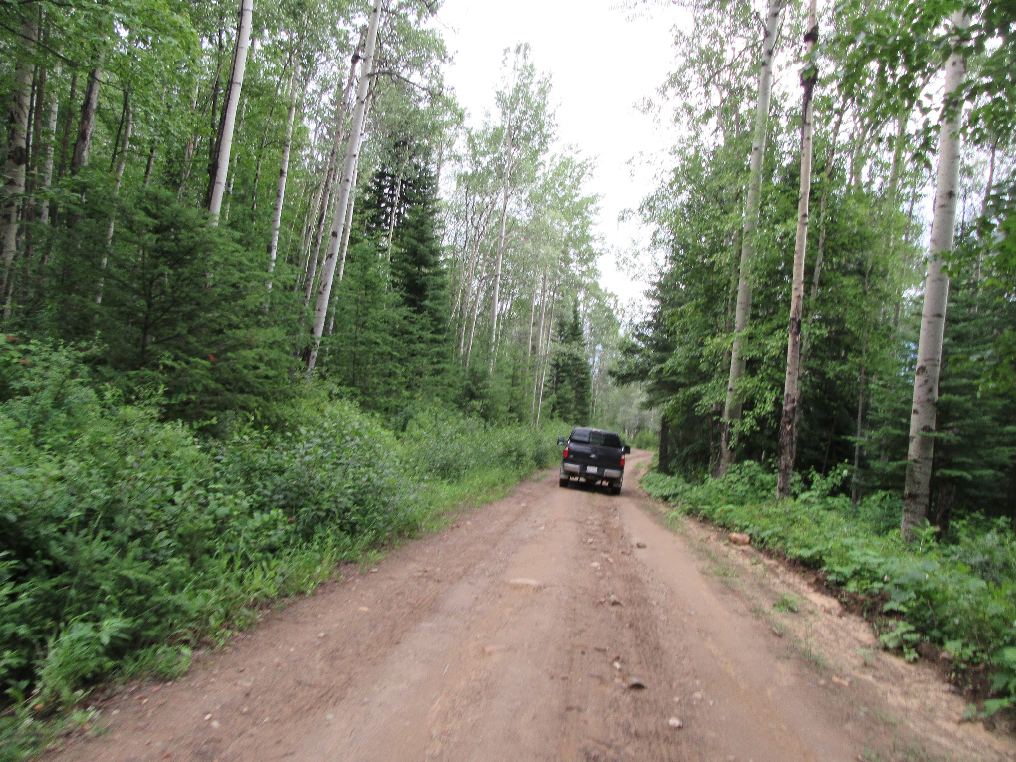 Cycling McBride Peak - dirt road with car