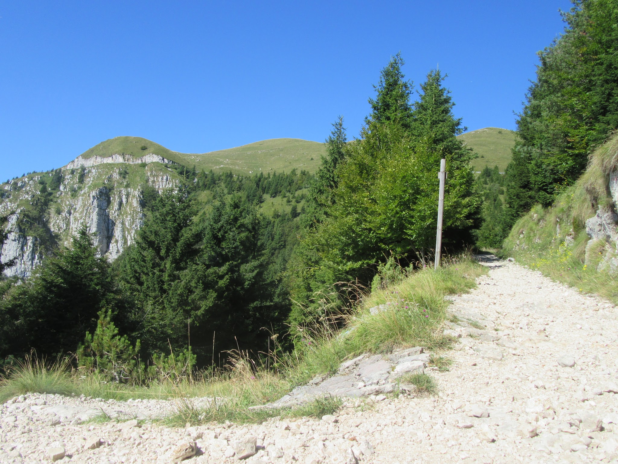 Climbing Monte Grappa from Crespano by bike - roadway cut into mountain
