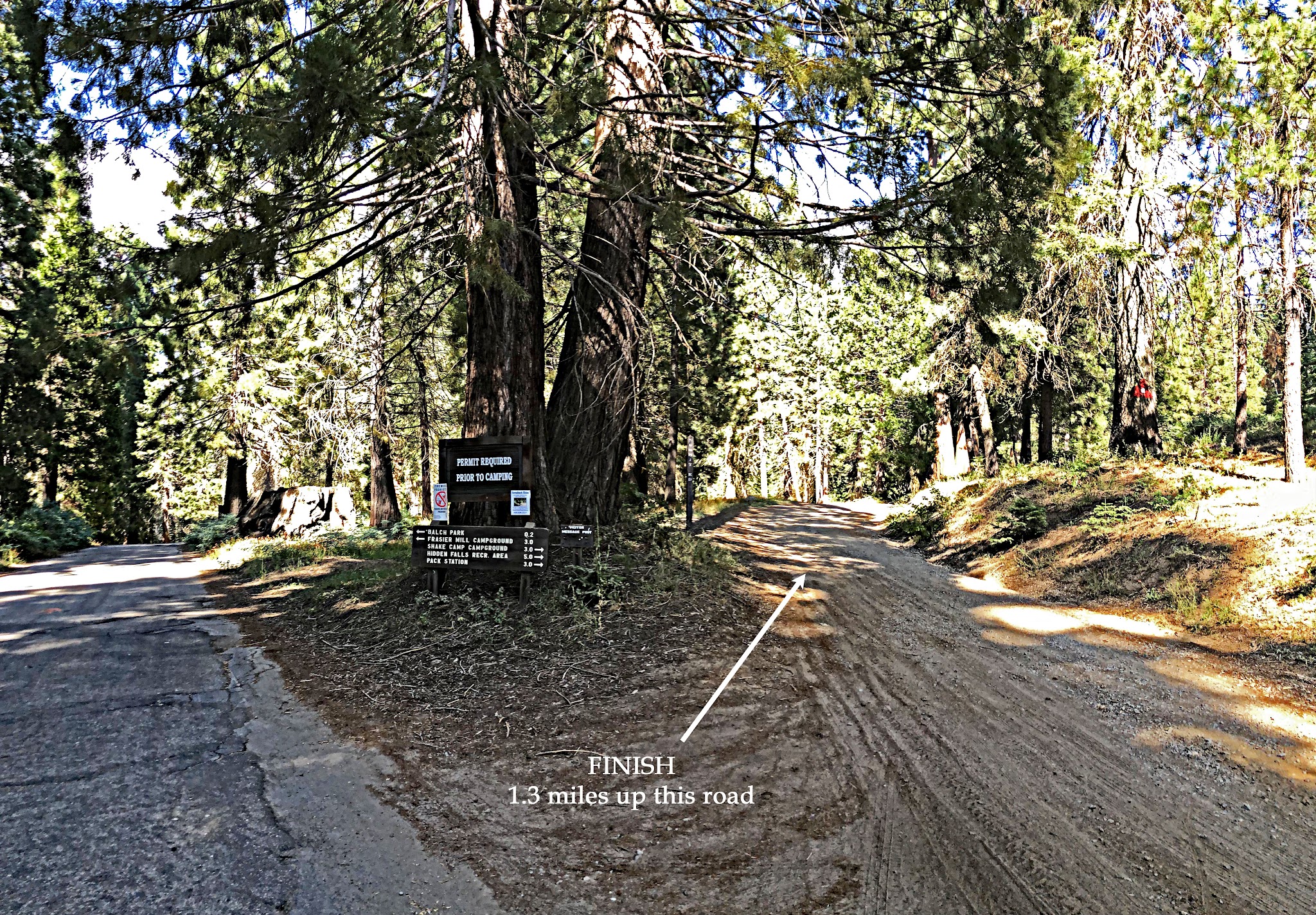 Bicycling  Bear Creek Road - fork in the road and sign - 