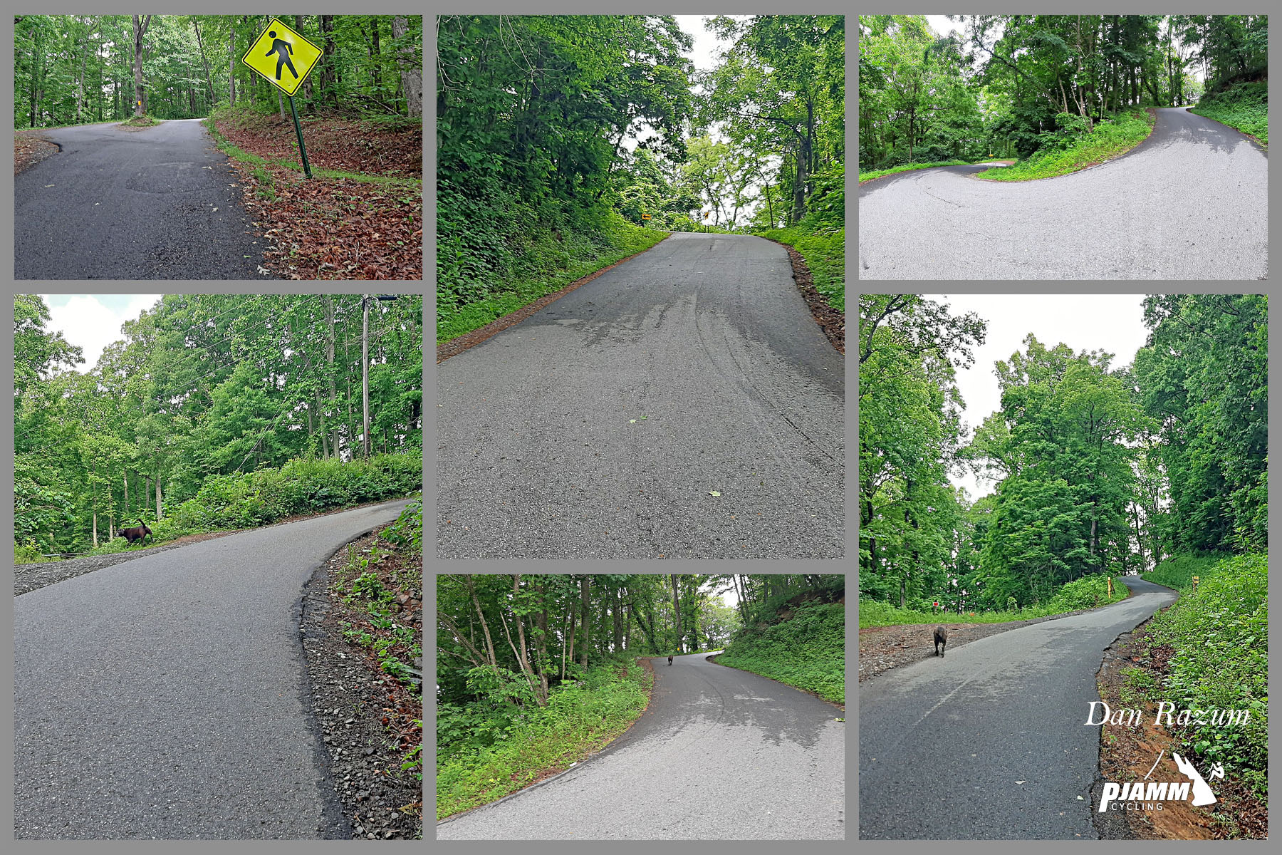 photo collage shows narrow one-lane densely forested road; road sign warns to watch for pedestrians 