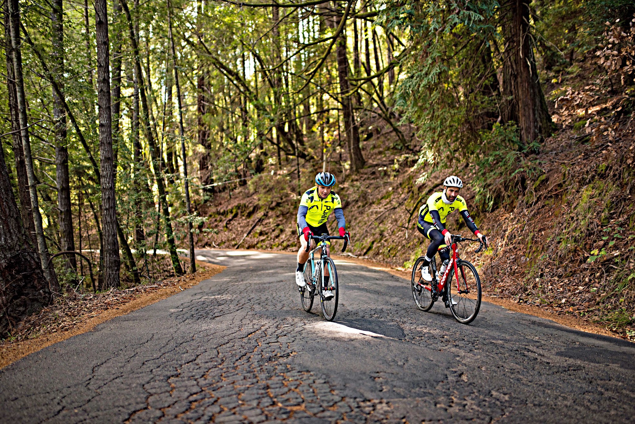 Bike climb Fort Ross Road - 2 cyclists on bikes in redwoods