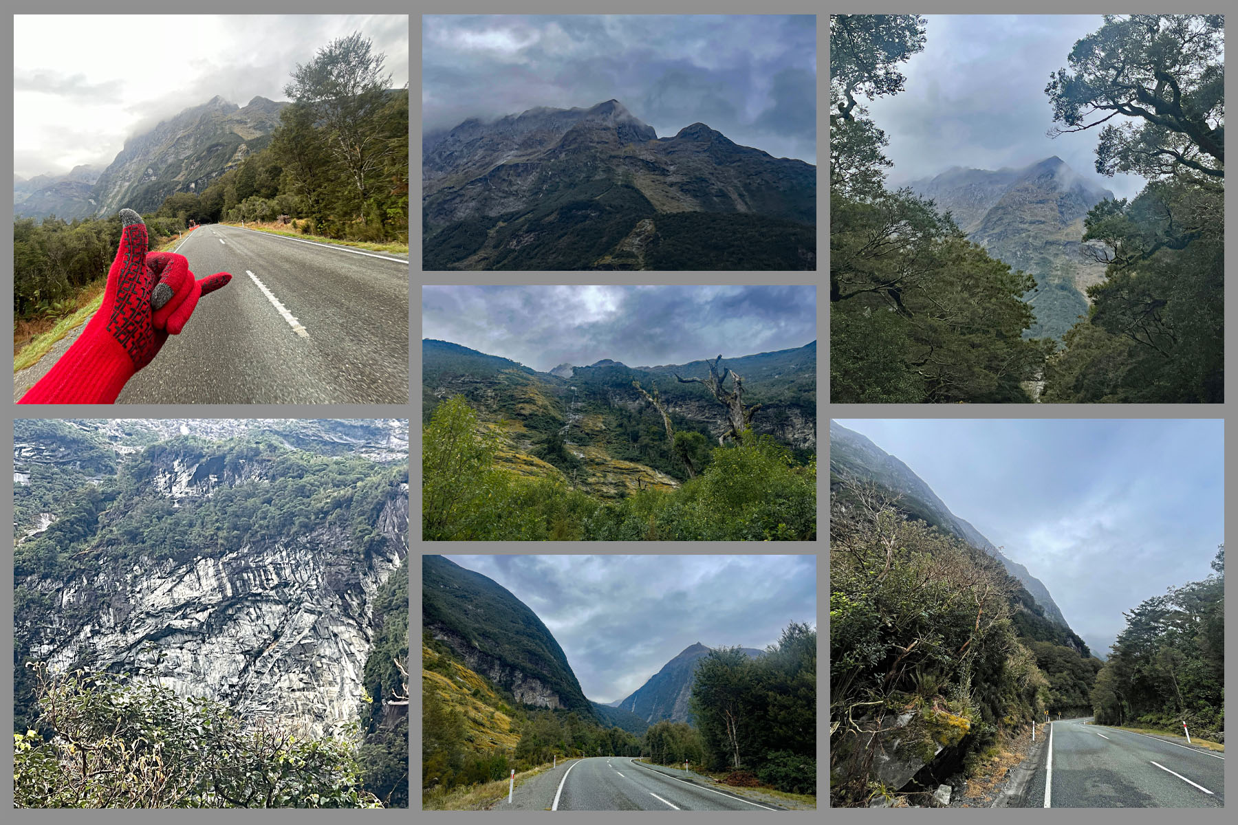 dense forestation along beginning of climb