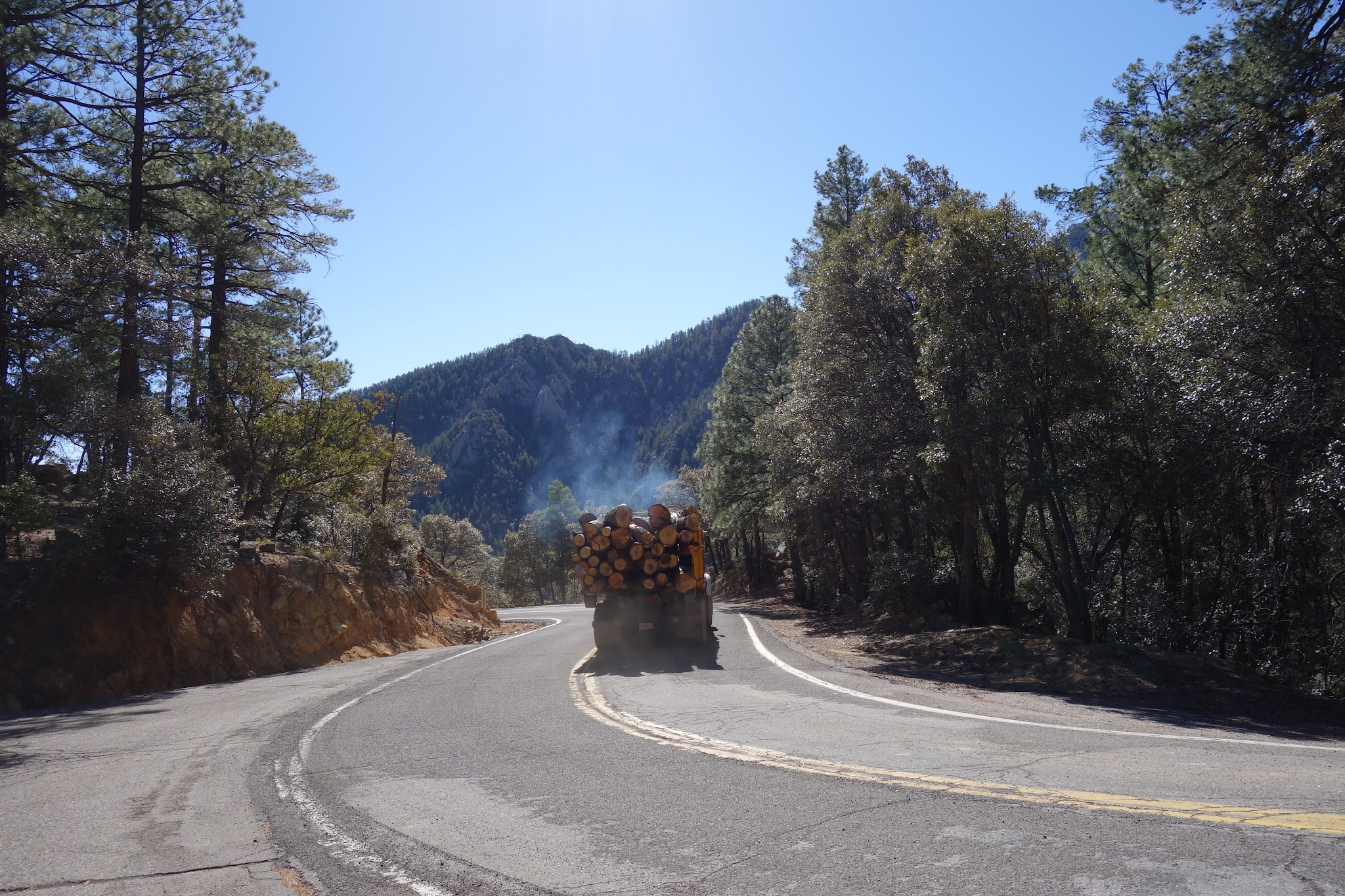 Logging truck on Mt. Graham, Safford, Arizona