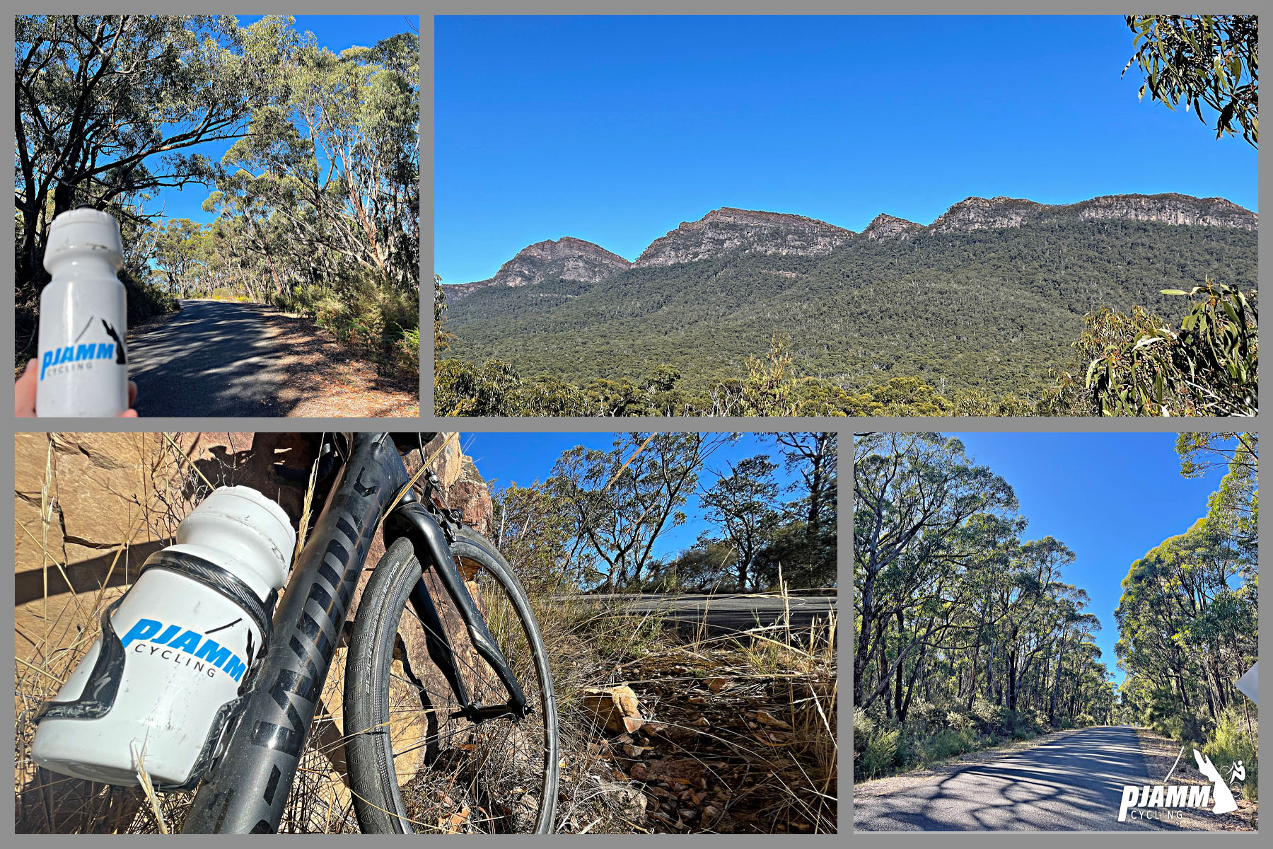 photo collage shows "tunnel" of trees lining roadway, view looking up at Grampians Mountain Range