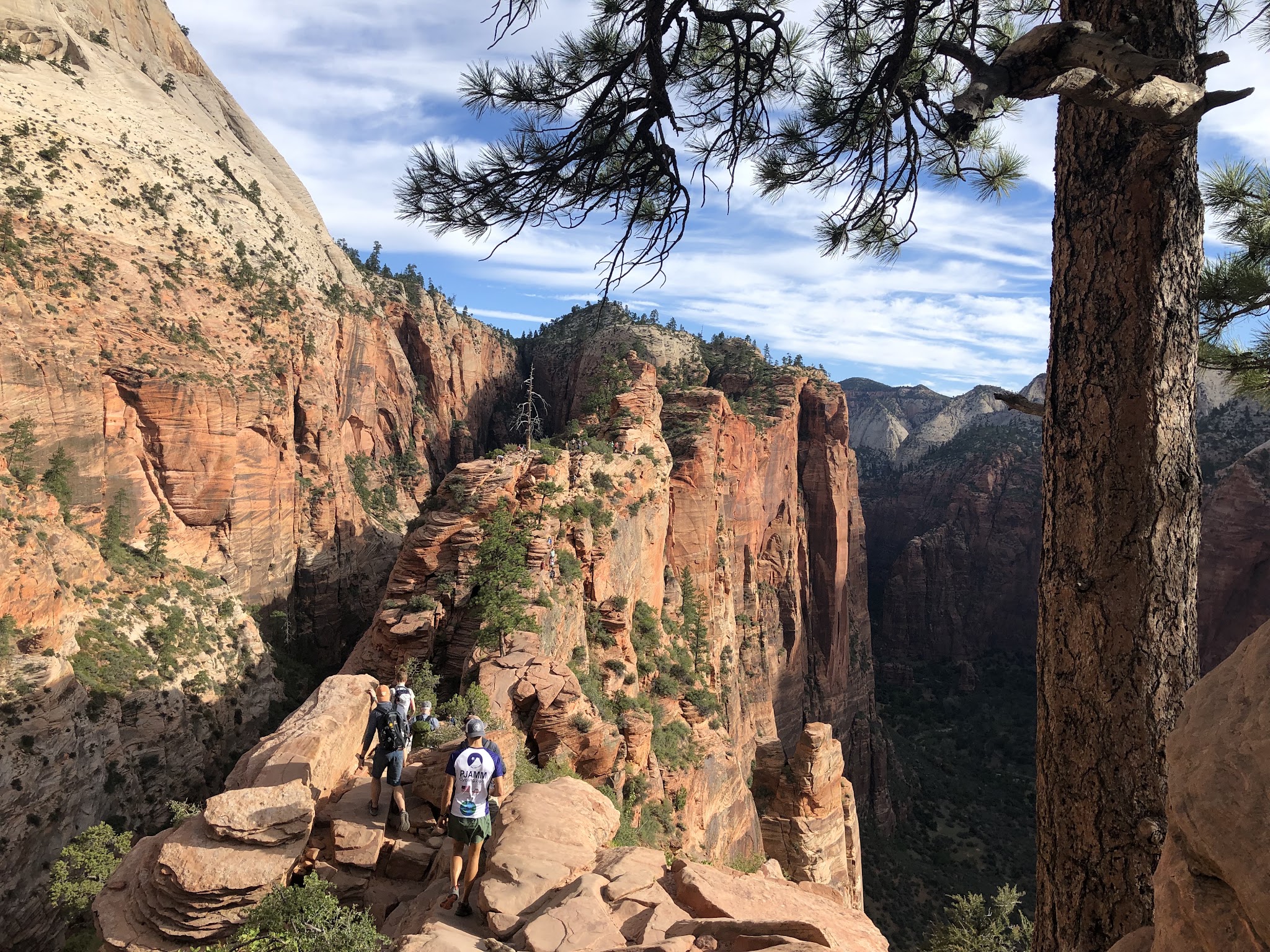 Cycling Zion National Park Cycling Zion National Park - PJAMM descending Angels Landing