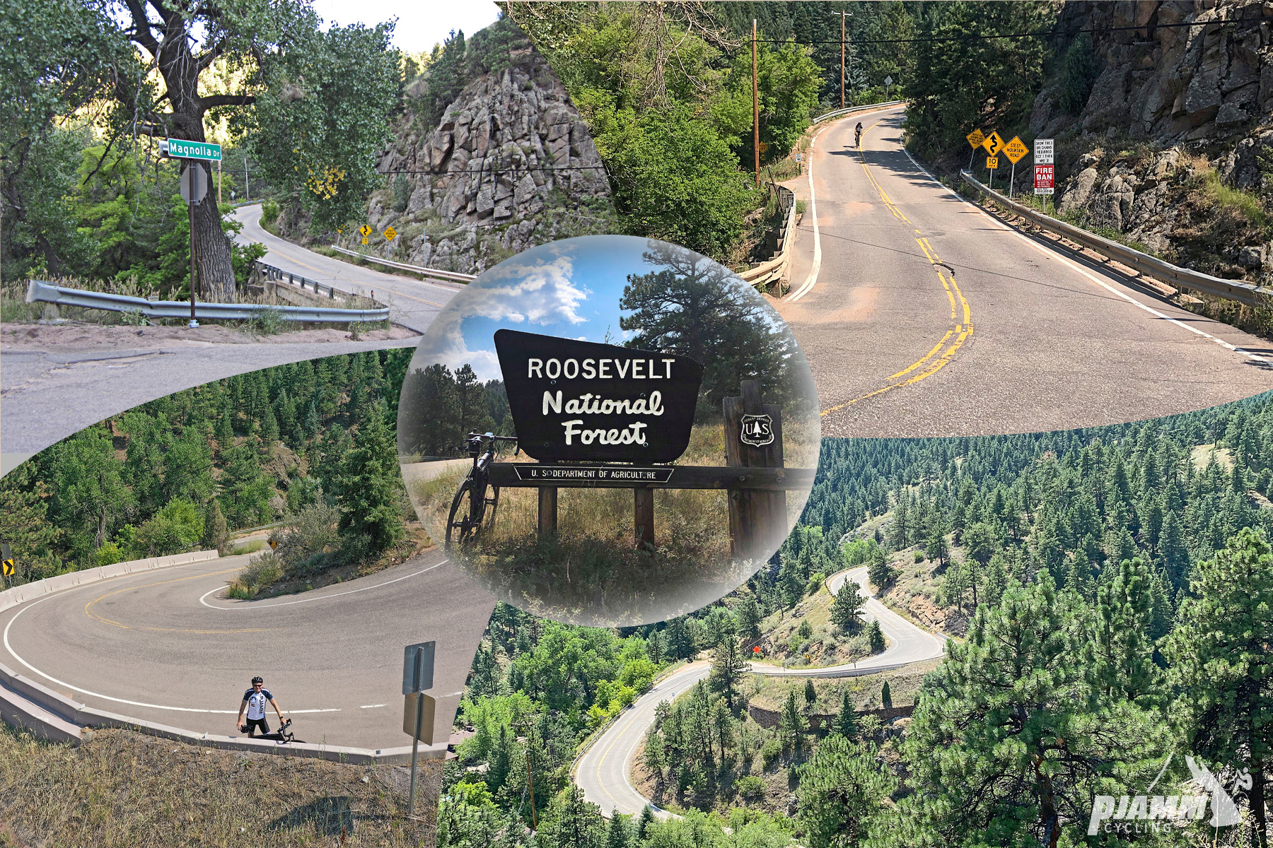 Climbing Magnolia Drive, Boulder, Colorado - photo collage, PJAMM Cycling logo in corner, bike parked next to sign for Roosevelt National Forest, multiple aerial drone views of  curves in roadway