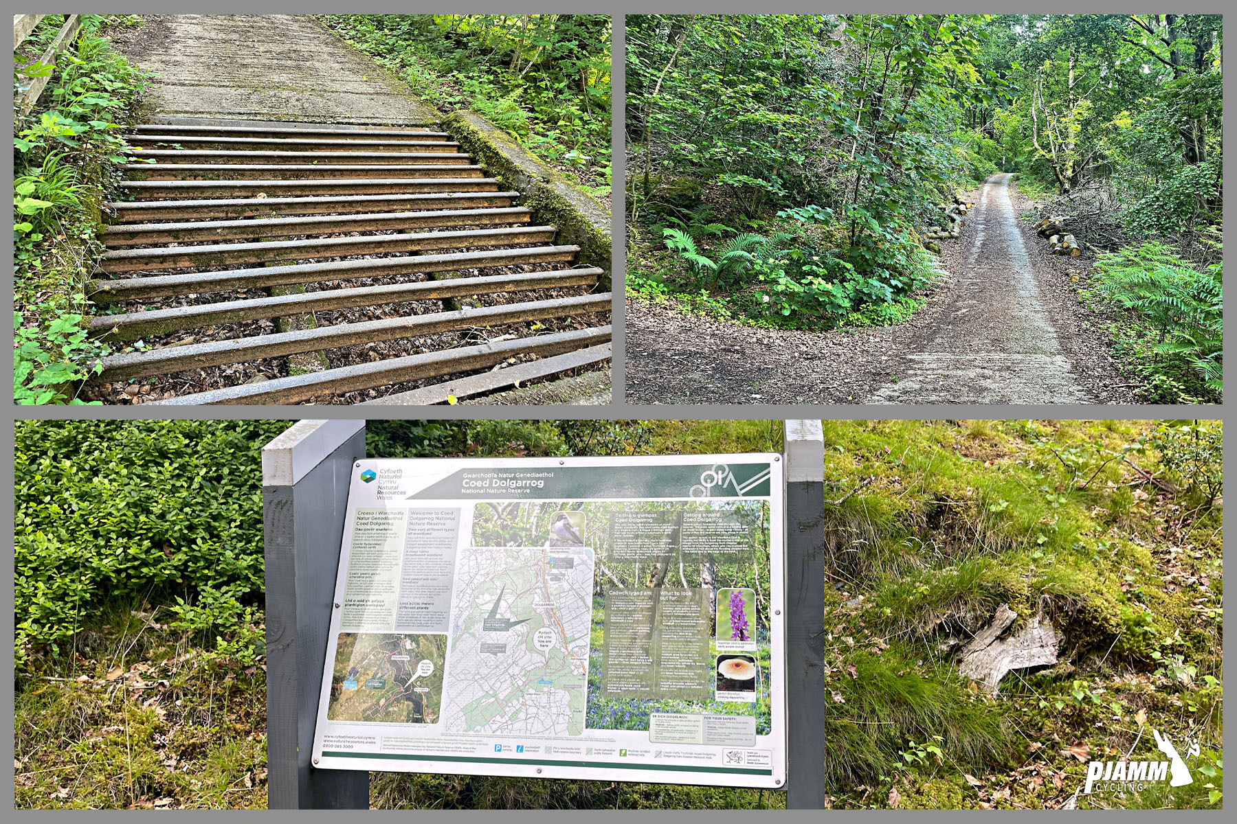 Photo collage shows informational signs and grate in roadway