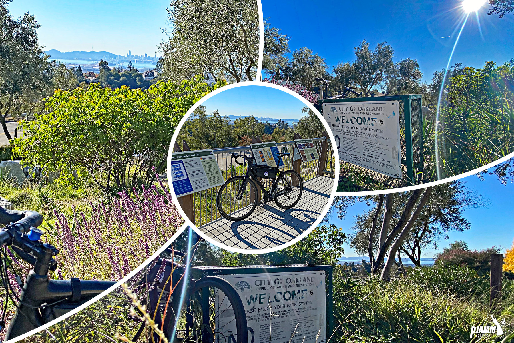 Cycling Tunnel to Grizzly Peak, California - photo collage, bike parked against railing next to informational signs at the Oakland Hills Fire Memorial Park, wild flowers, bay views, PJAMM Cycling logo in corner